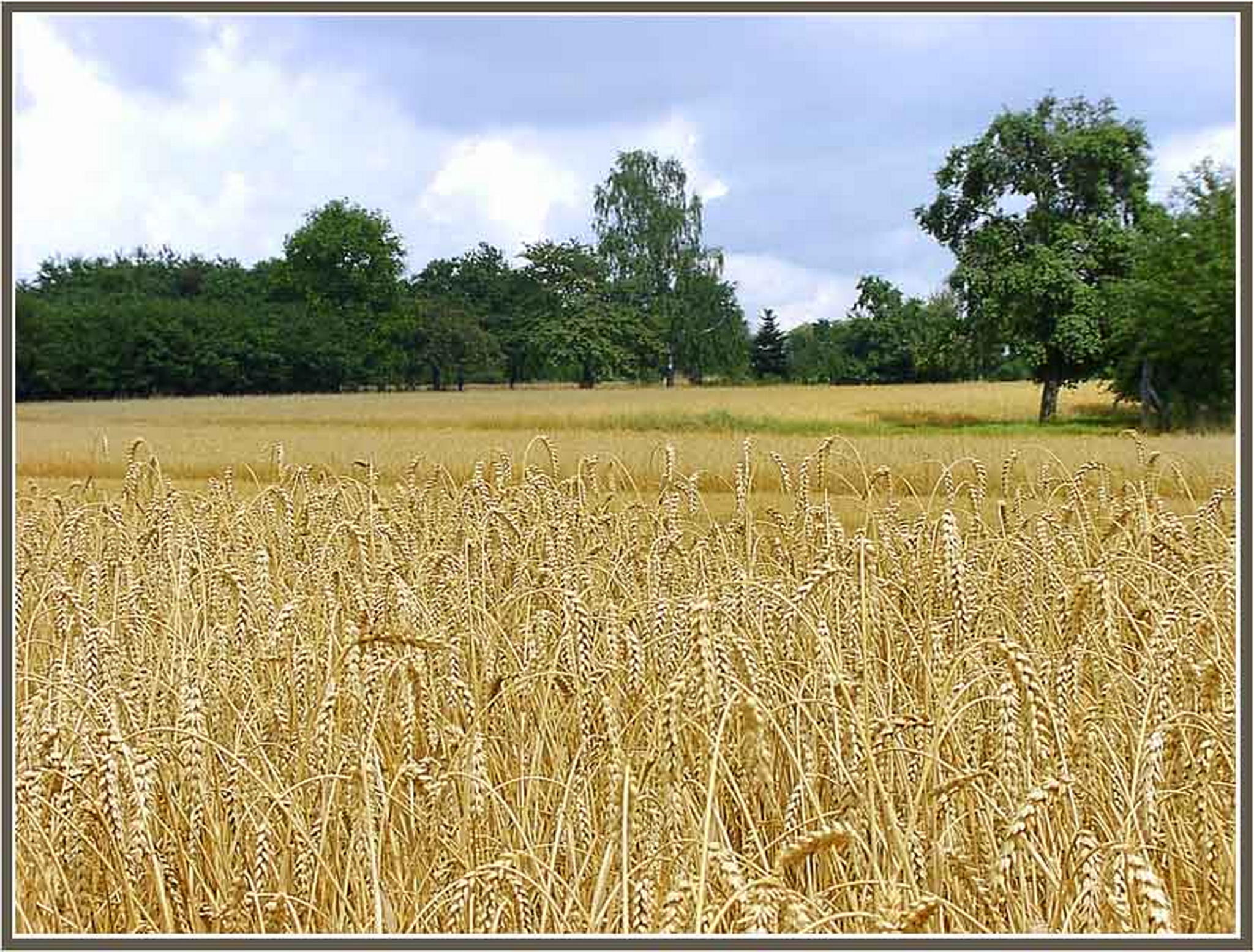 Bioland 6013686056 o