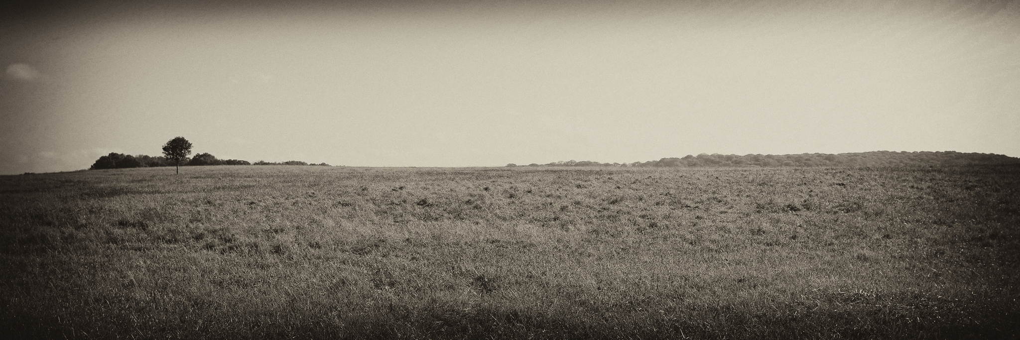 Der baum 15562283426 o