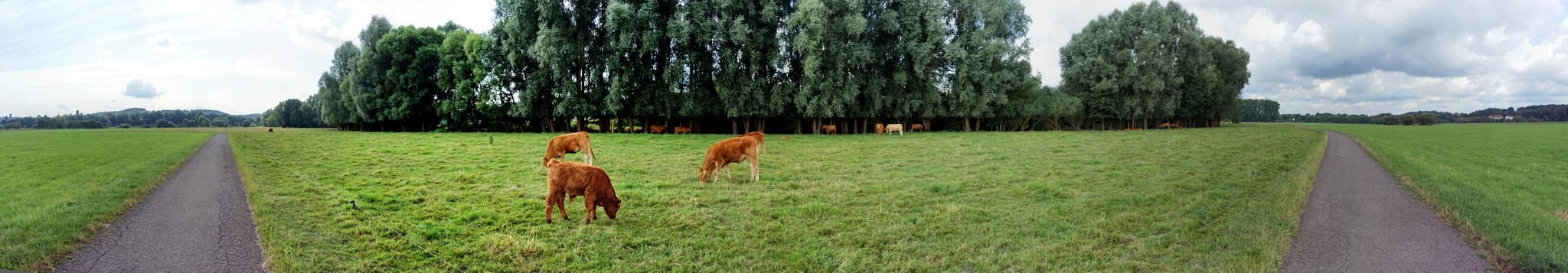 Die khe von bauer gursky 28732781311 o