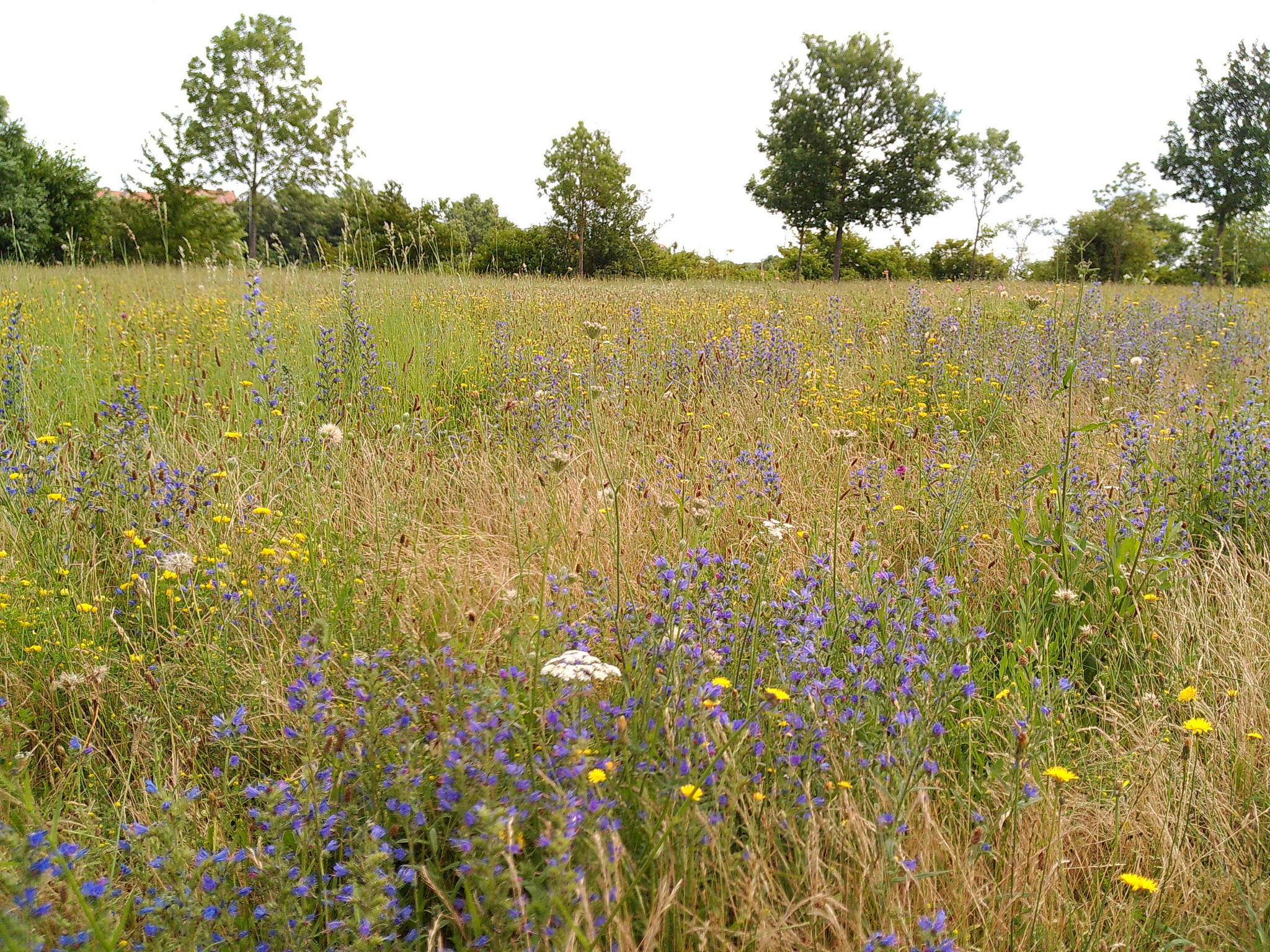 Dscf0019 53892972451 o