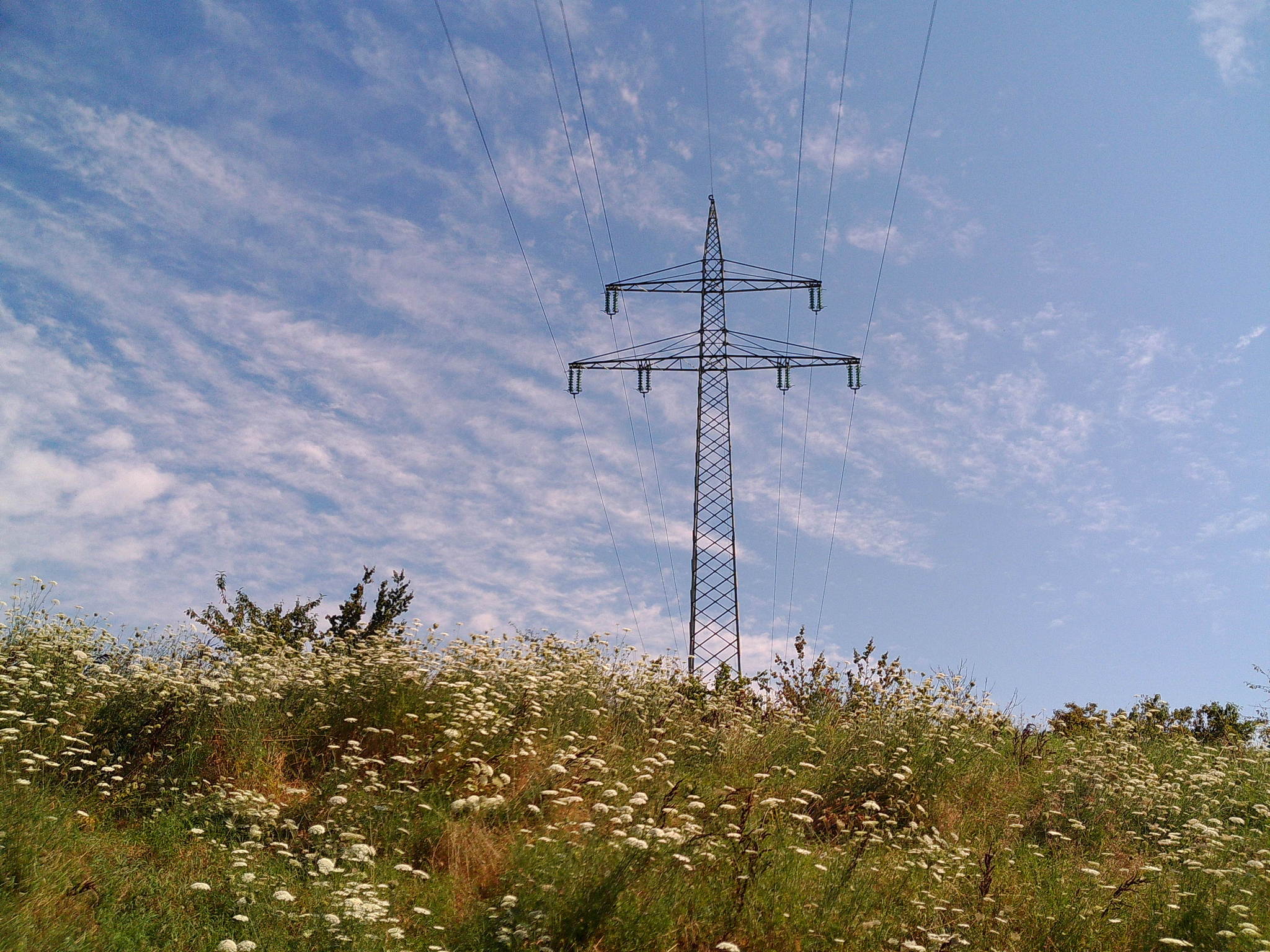 Dscf0103 53893321449 o