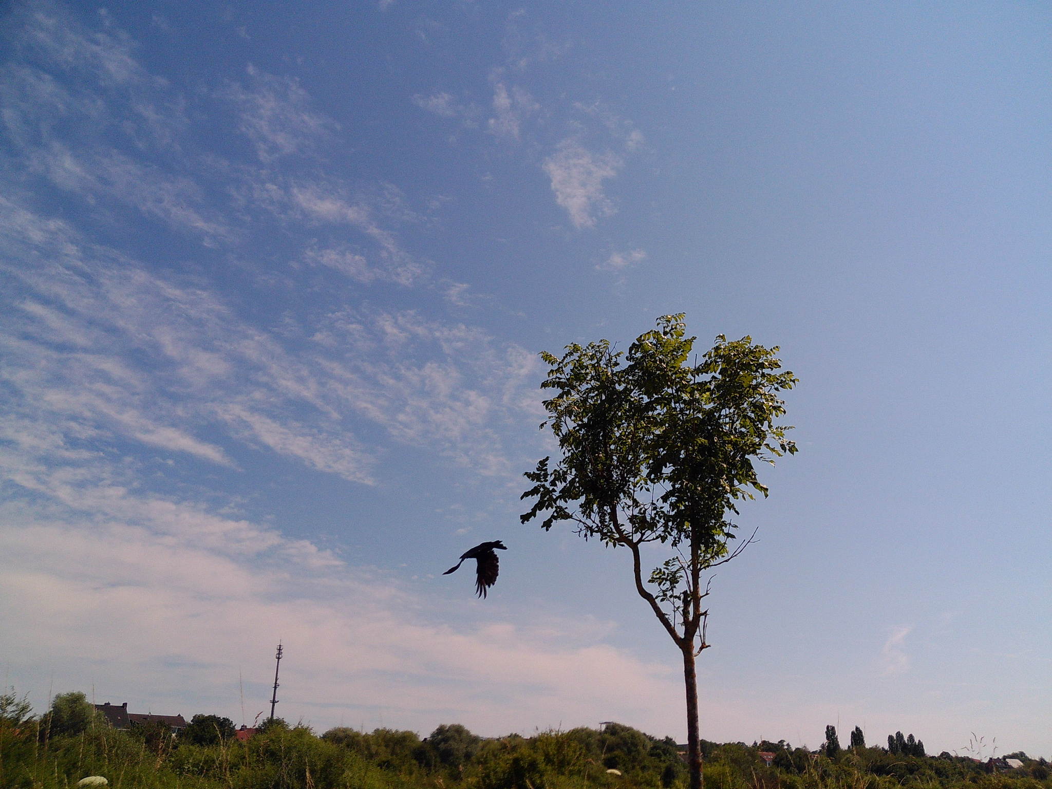 Dscf0108 53893228558 o