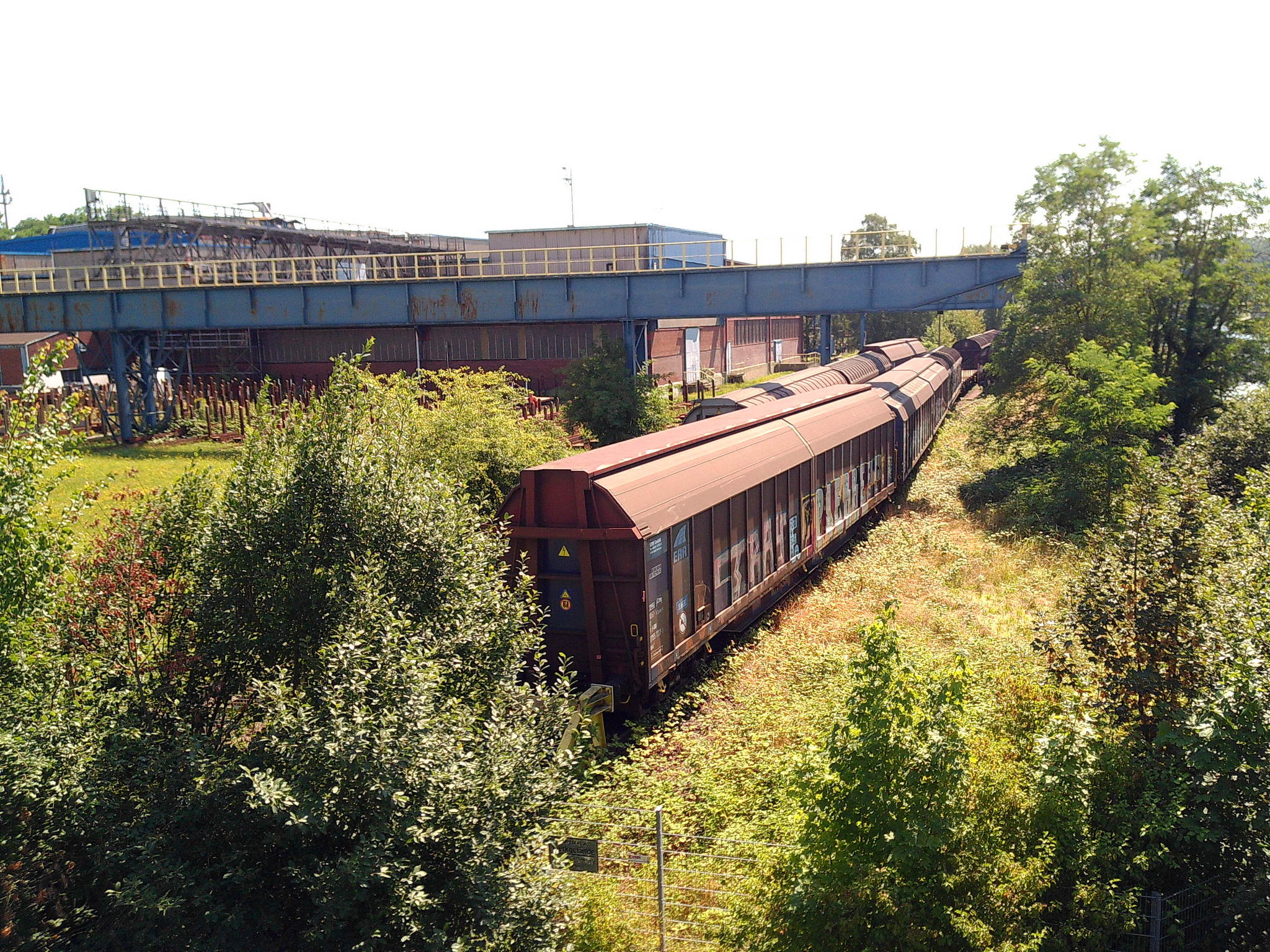 Dscf0109 53892071172 o