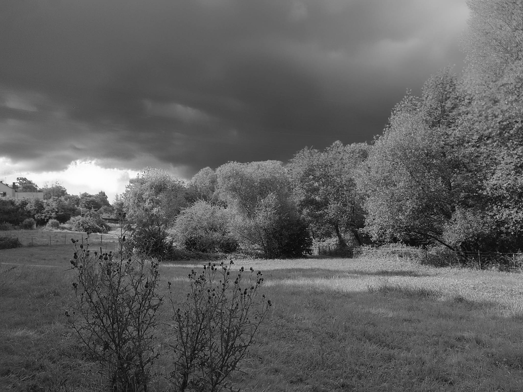 Dscf0123a 53892991576 o