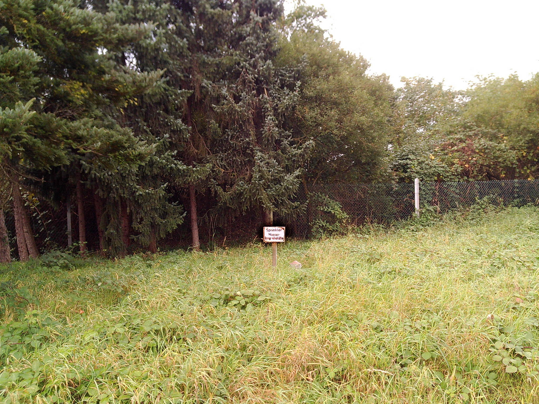 Dscf1684 54047583744 o