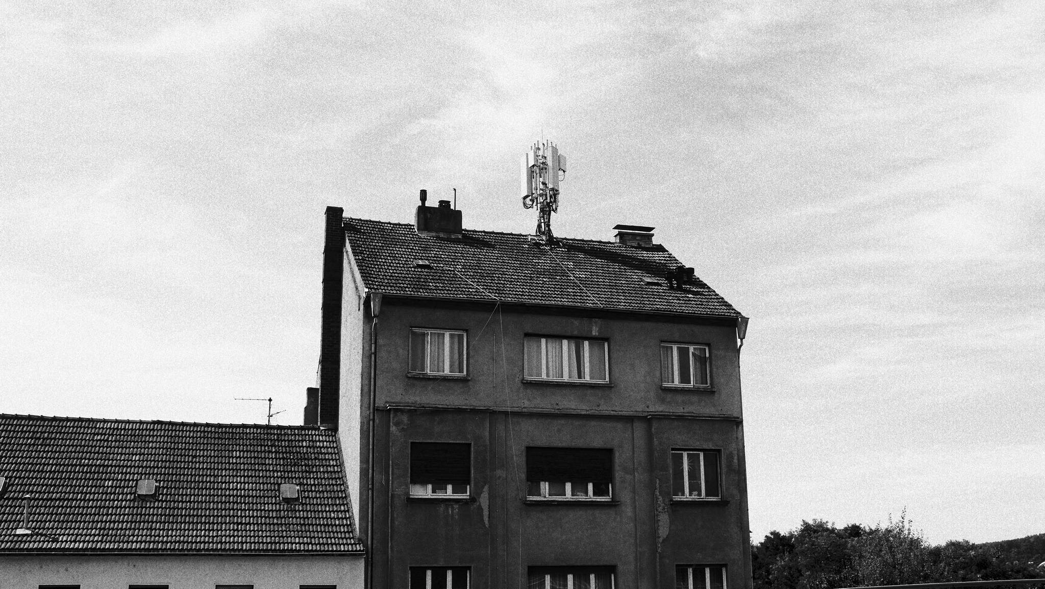 Gdgdgd 53913824626 o