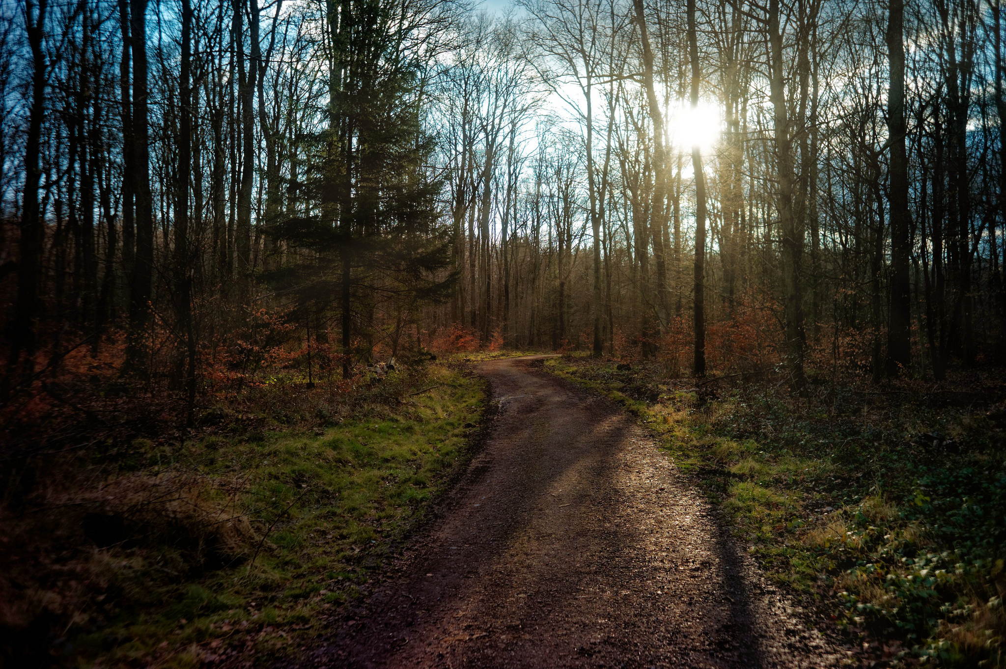 Gestern gab es ein bisschen frhling 49633574972 o