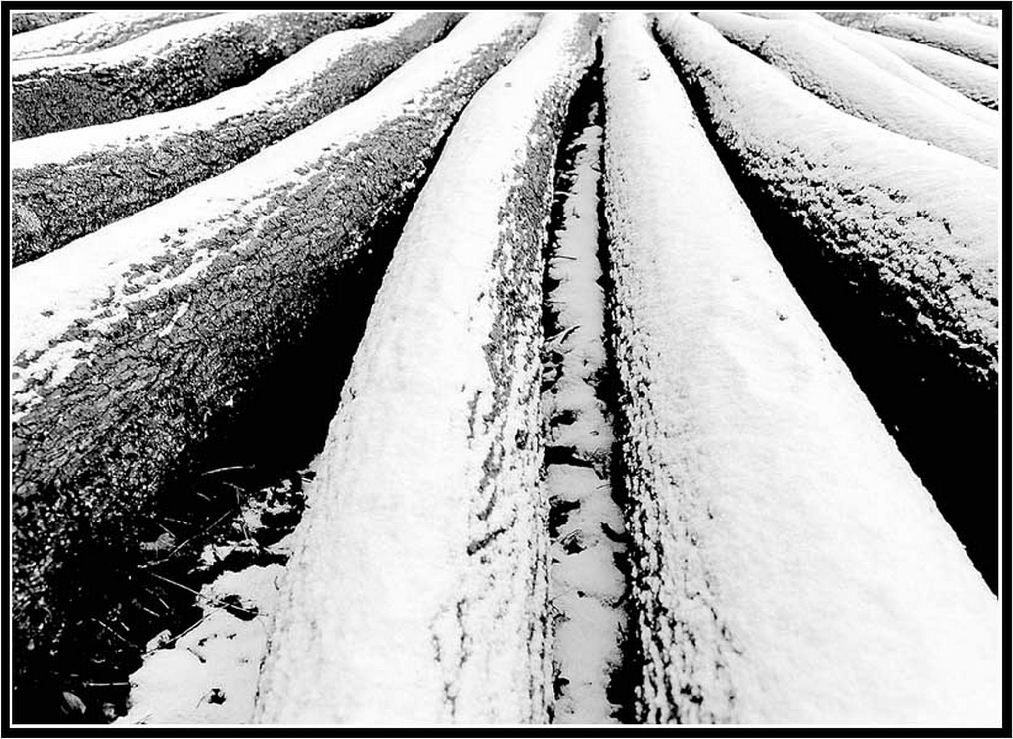 Graustufenmodus 6013142479 o