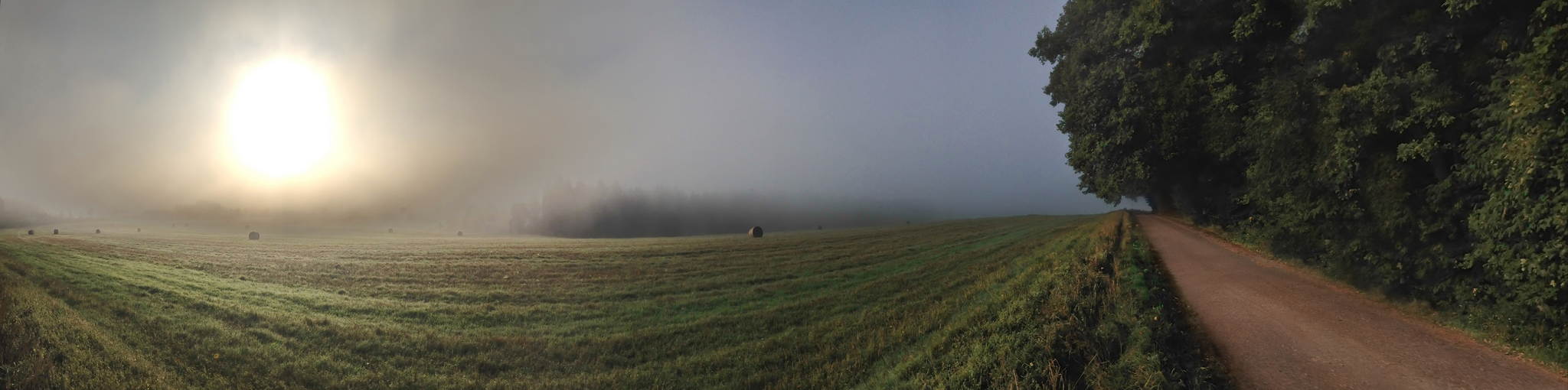 Herbstmorgen 15406730066 o