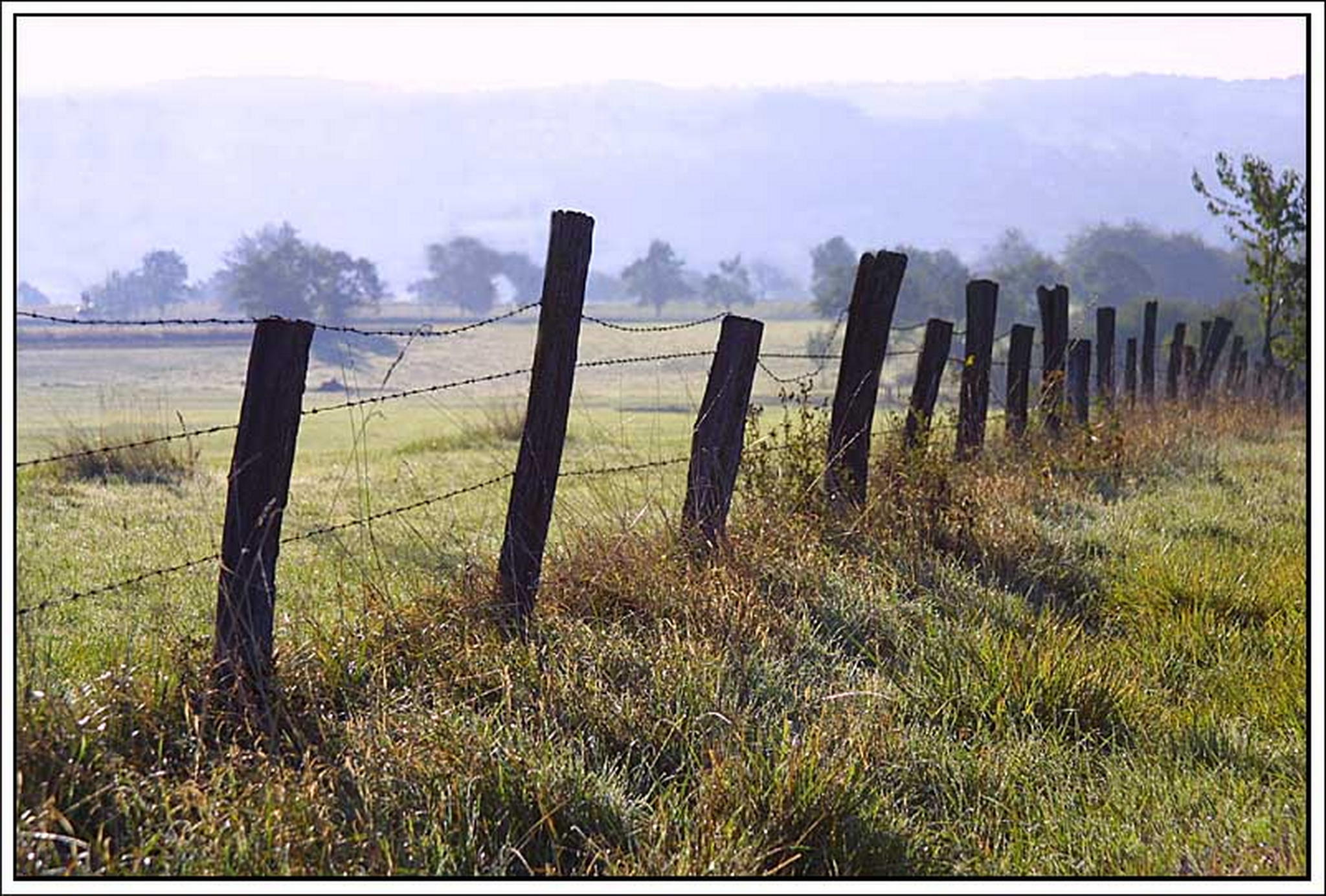 Herbstmorgen 6013139605 o