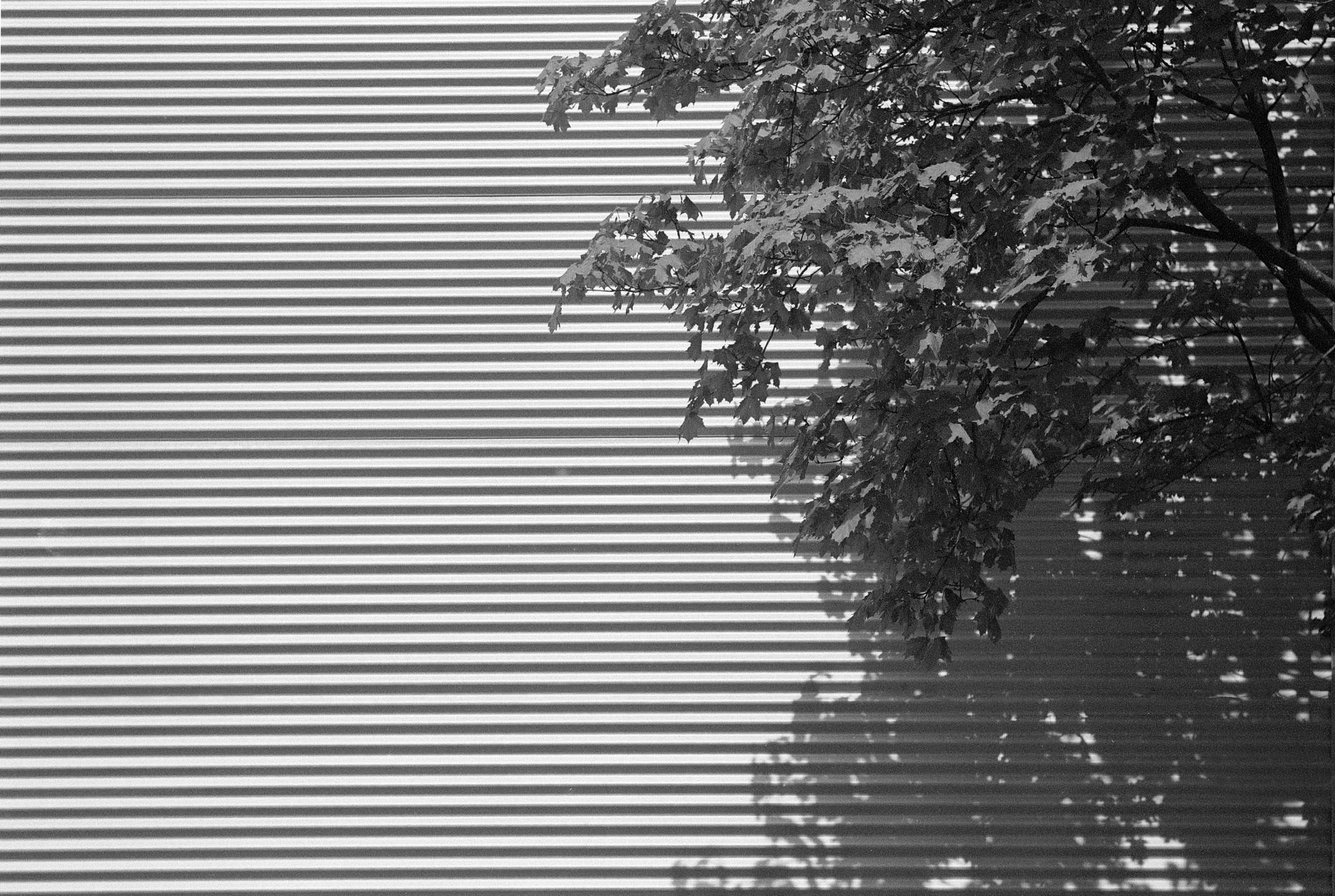 Hexarrf summitar 2704 02 26877260817 o