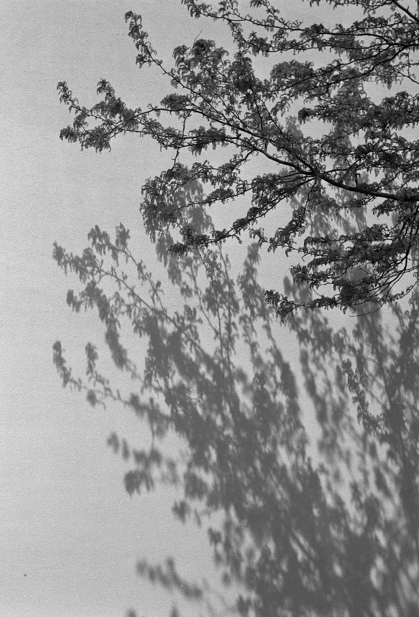 Hexarrf summitar 2704 03 41745727971 o