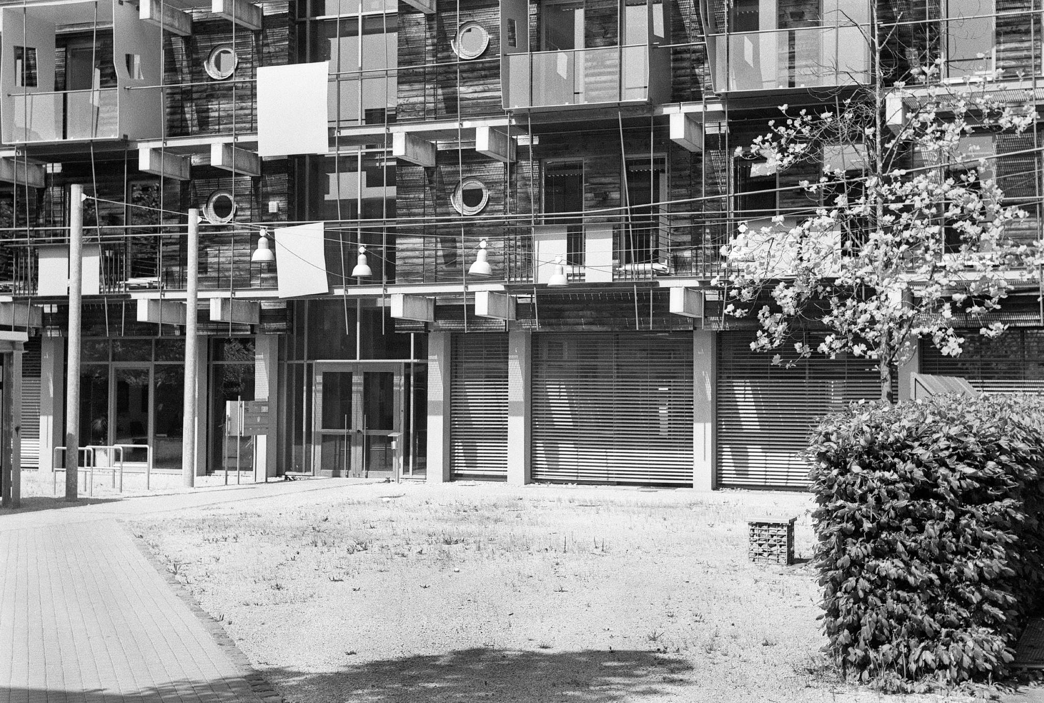 Hexarrf summitar 2704 06 41745736771 o