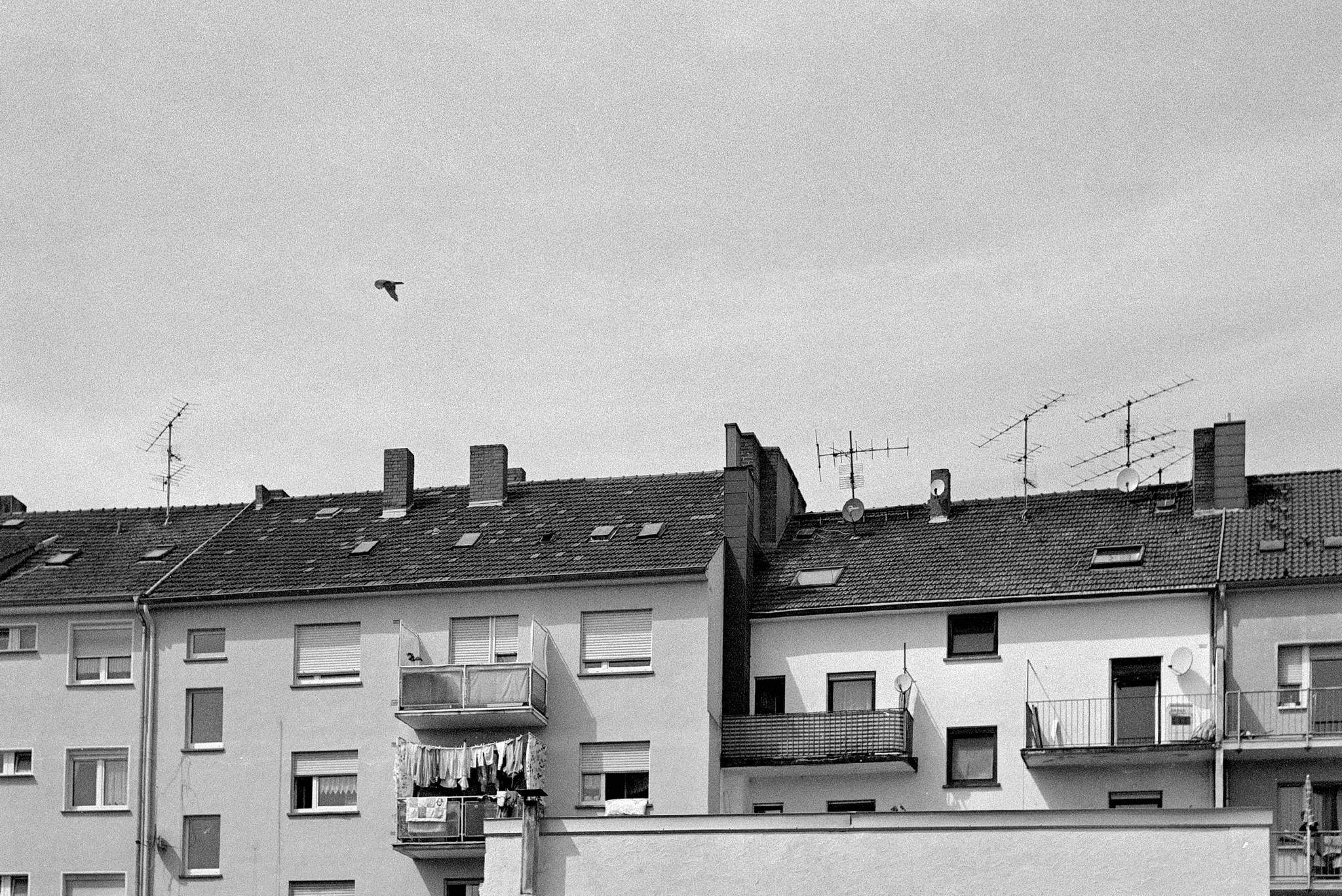 Hexarrf summitar 2704 13 41745759251 o