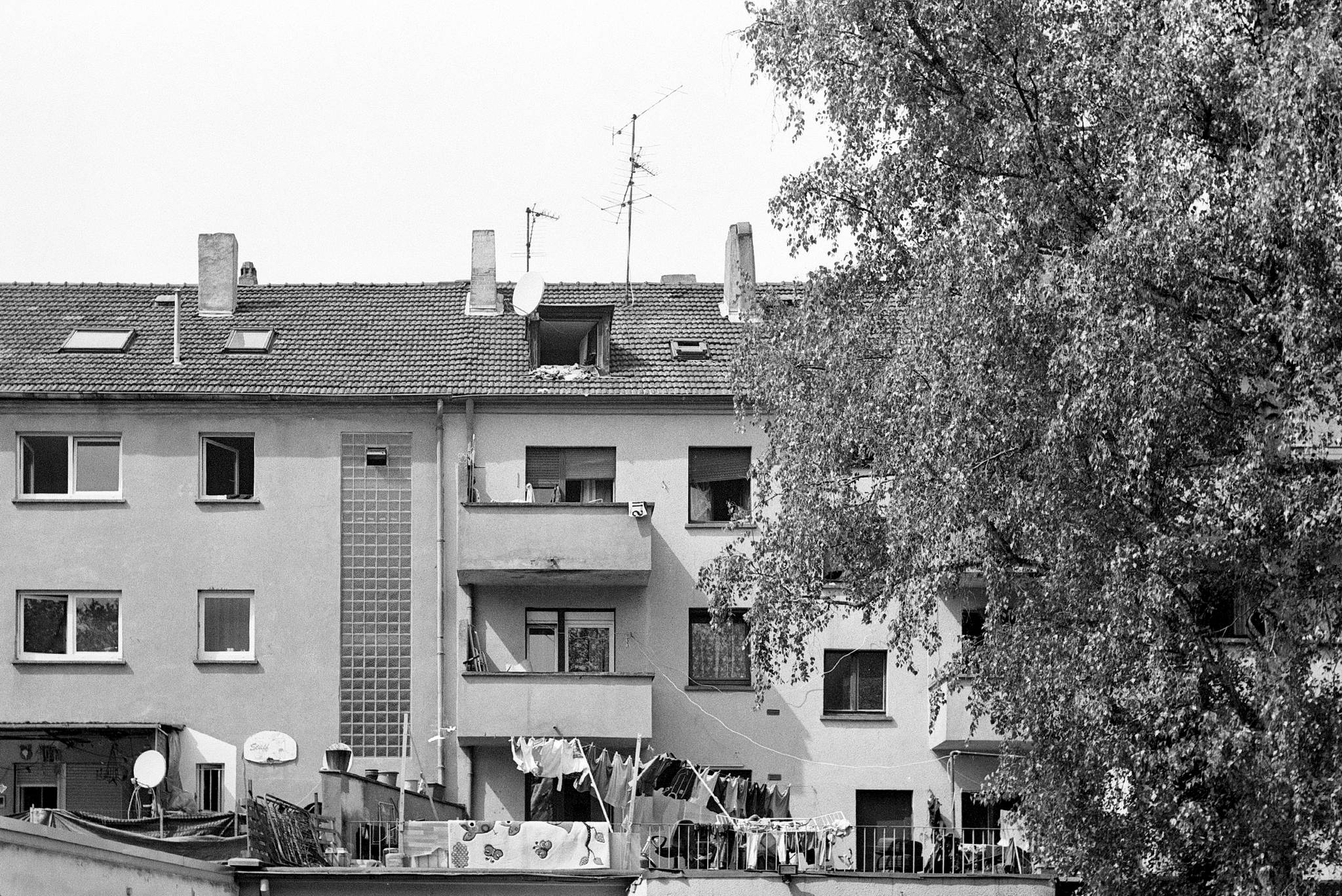 Hexarrf summitar 2704 14 41745763151 o