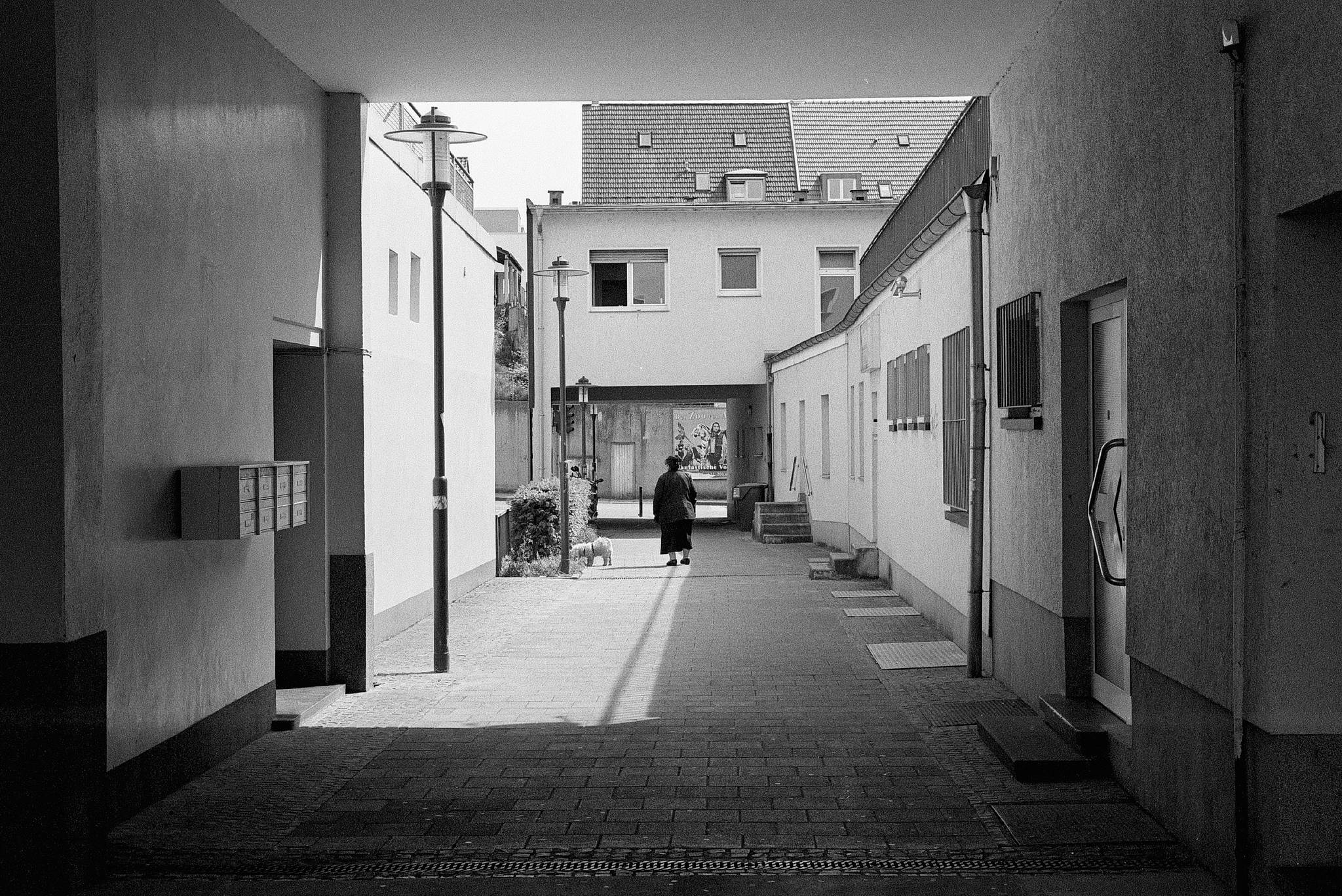 Hexarrf summitar 2704 16 41745772621 o