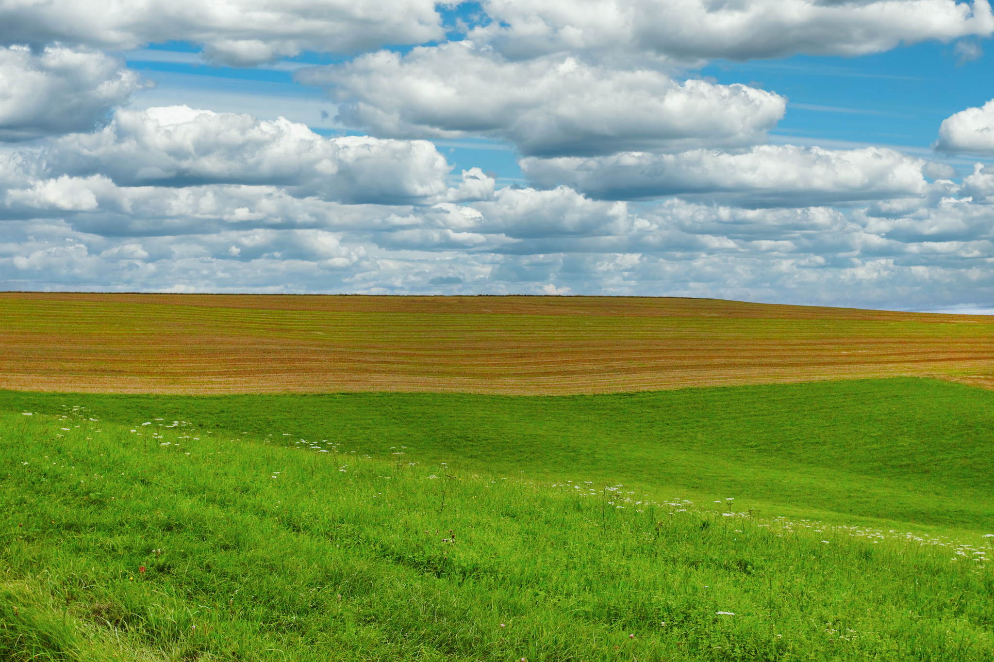 Im mrzen der bauer 52930473258 o