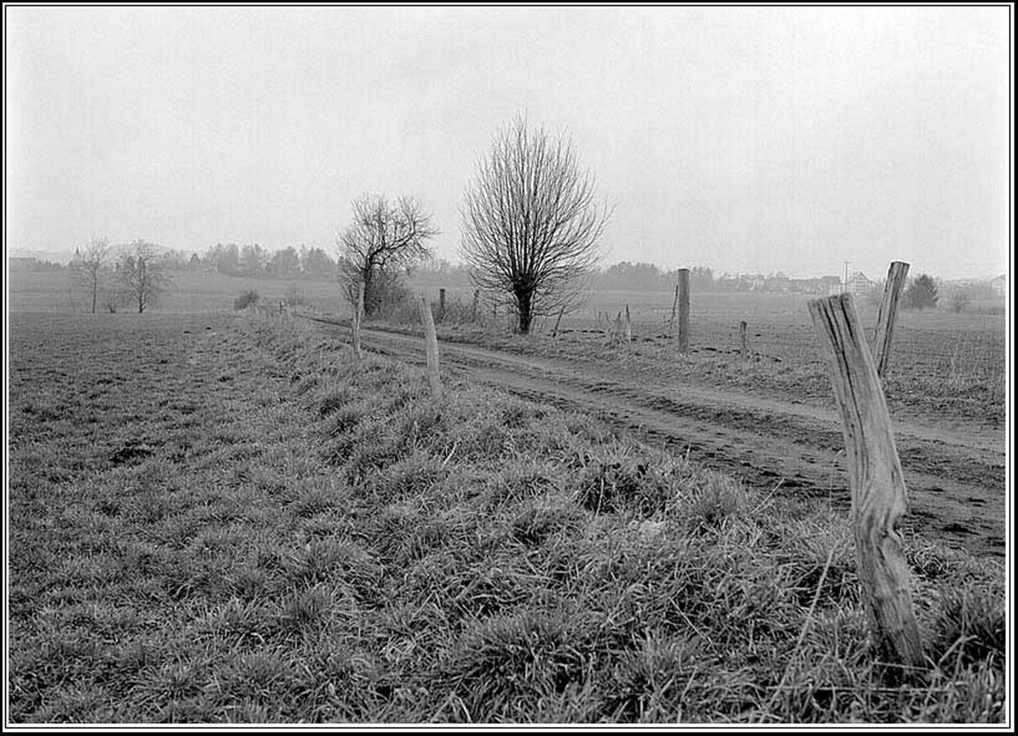 Kalt feucht trbe 6013691642 o