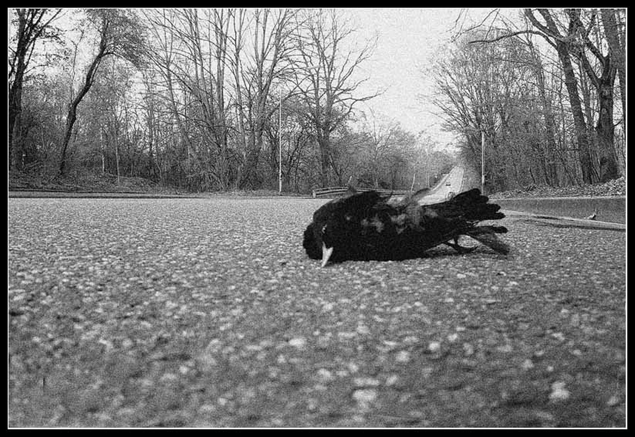 Keine zeit 6022971894 o