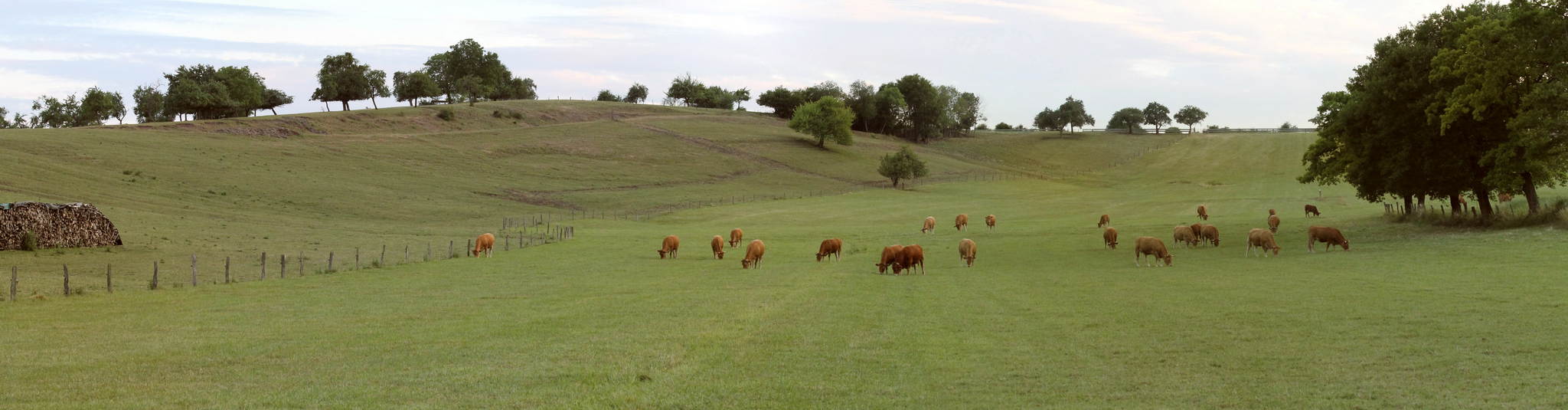 Kuhlandschaft 14380192119 o