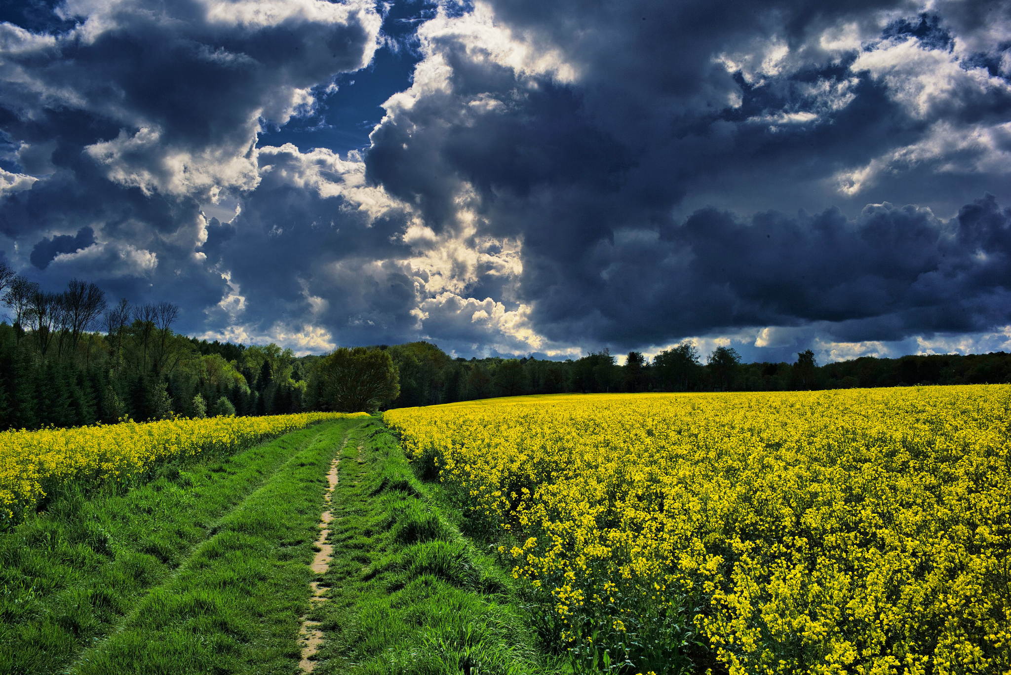 M2401825 1 51181947711 o