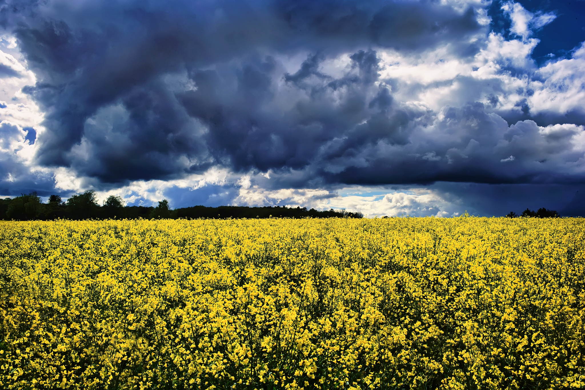 M2401834 51182734899 o