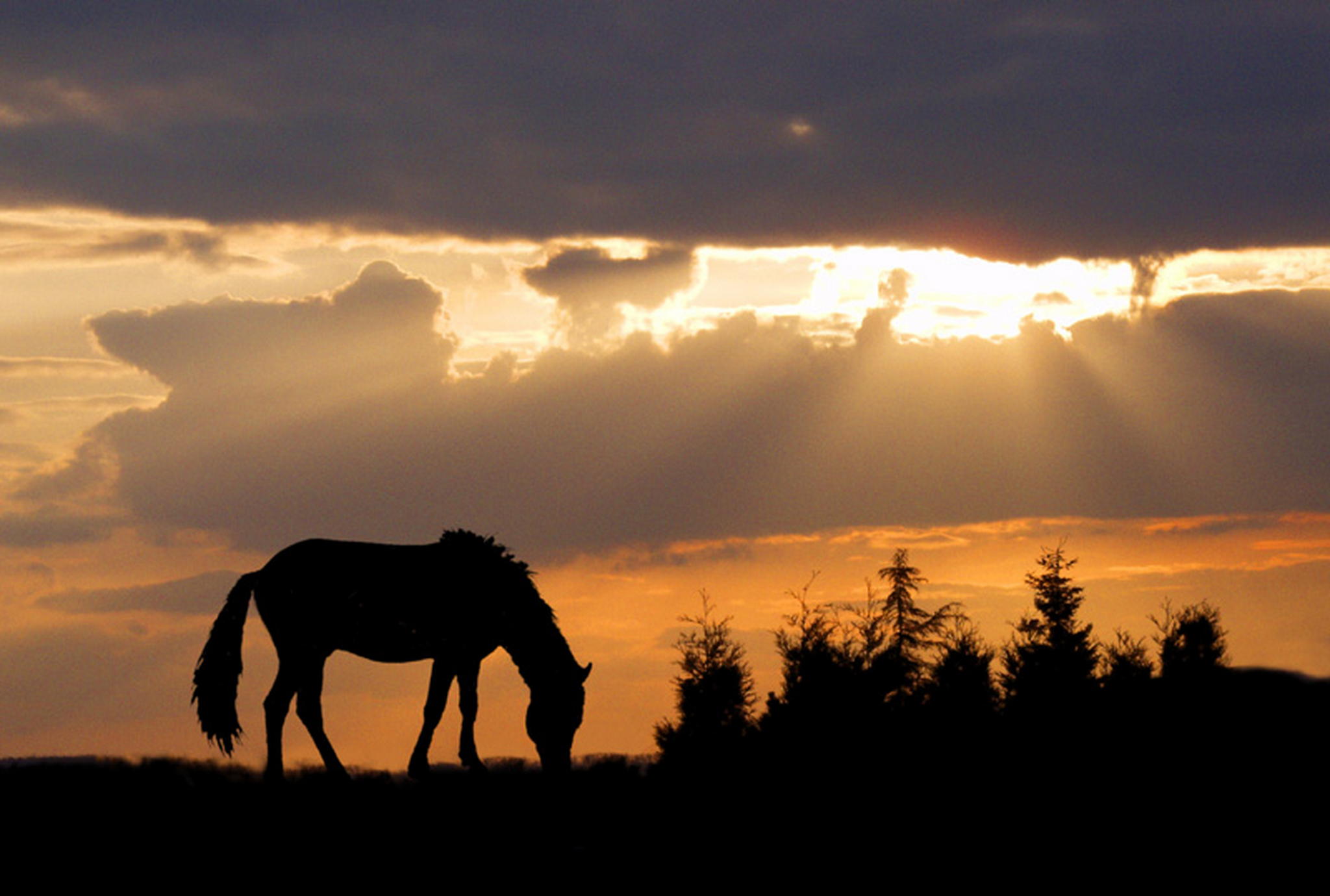 Mal was romantisches 6013134403 o