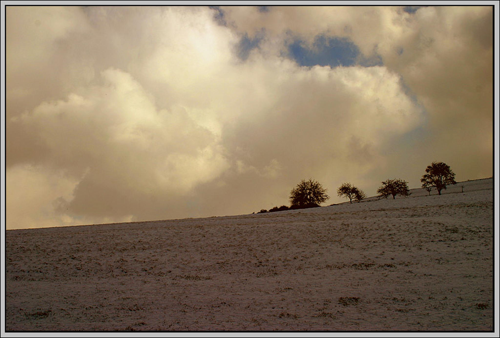 Morgens 6013143783 o