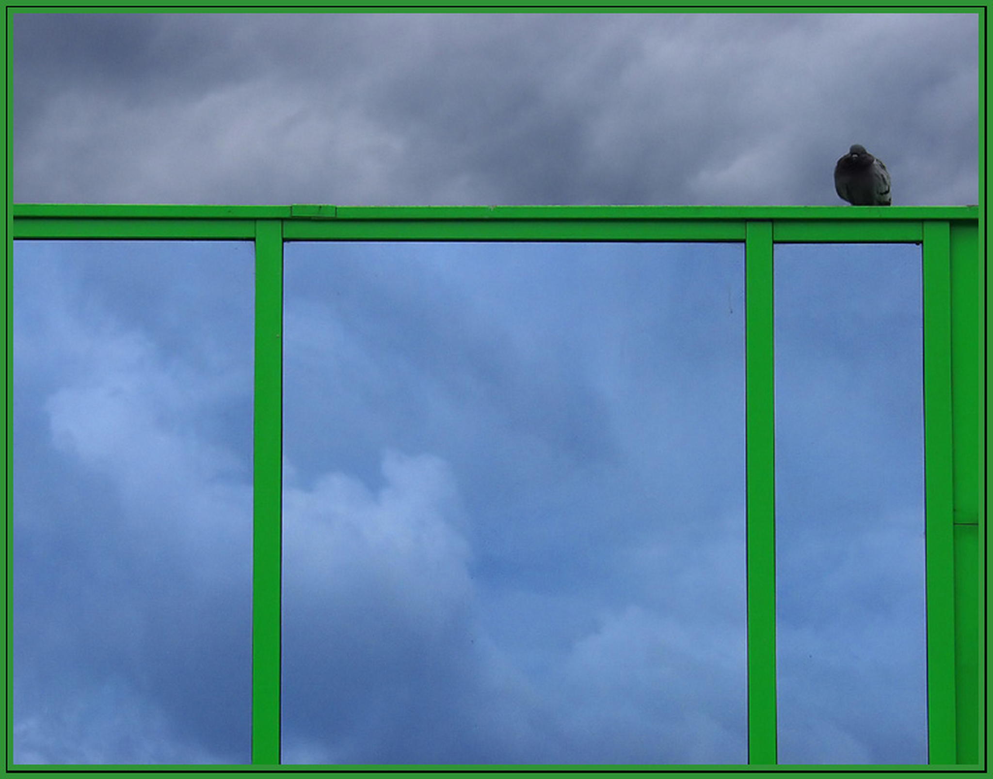 Naja als taubenhalter gehts 6013684082 o