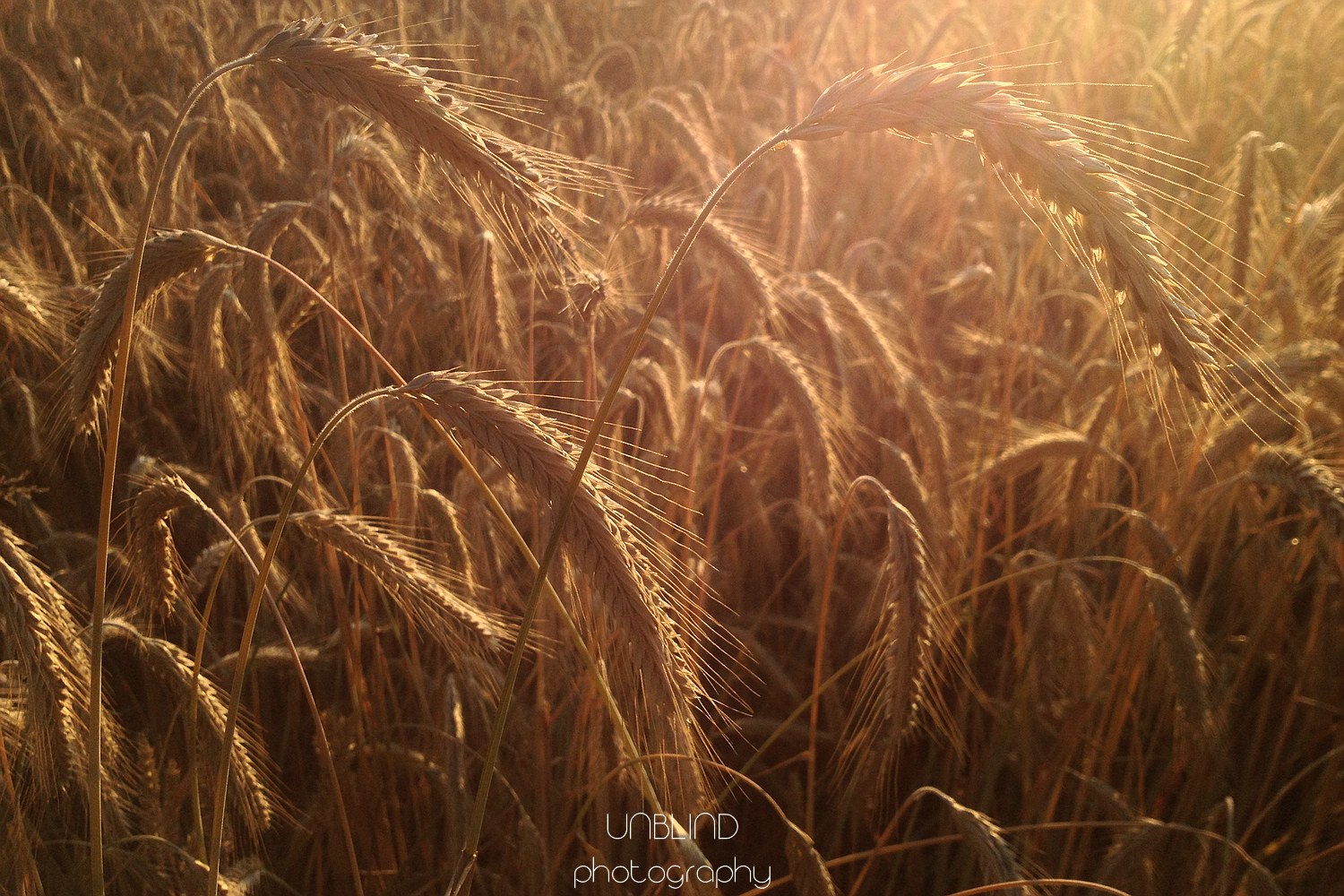 Noch ist es sommer 9536672528 o