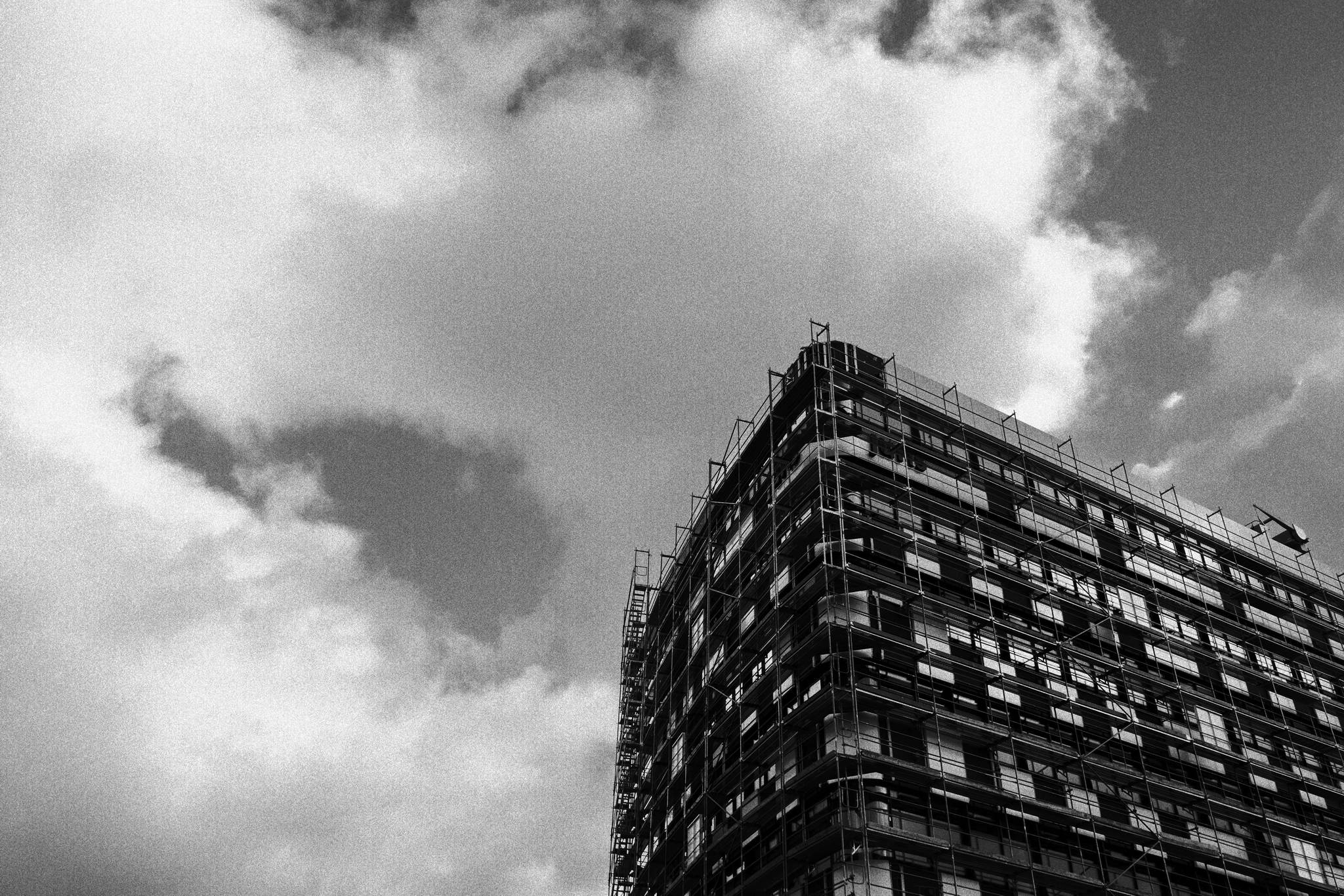 Sfasff 53913825316 o