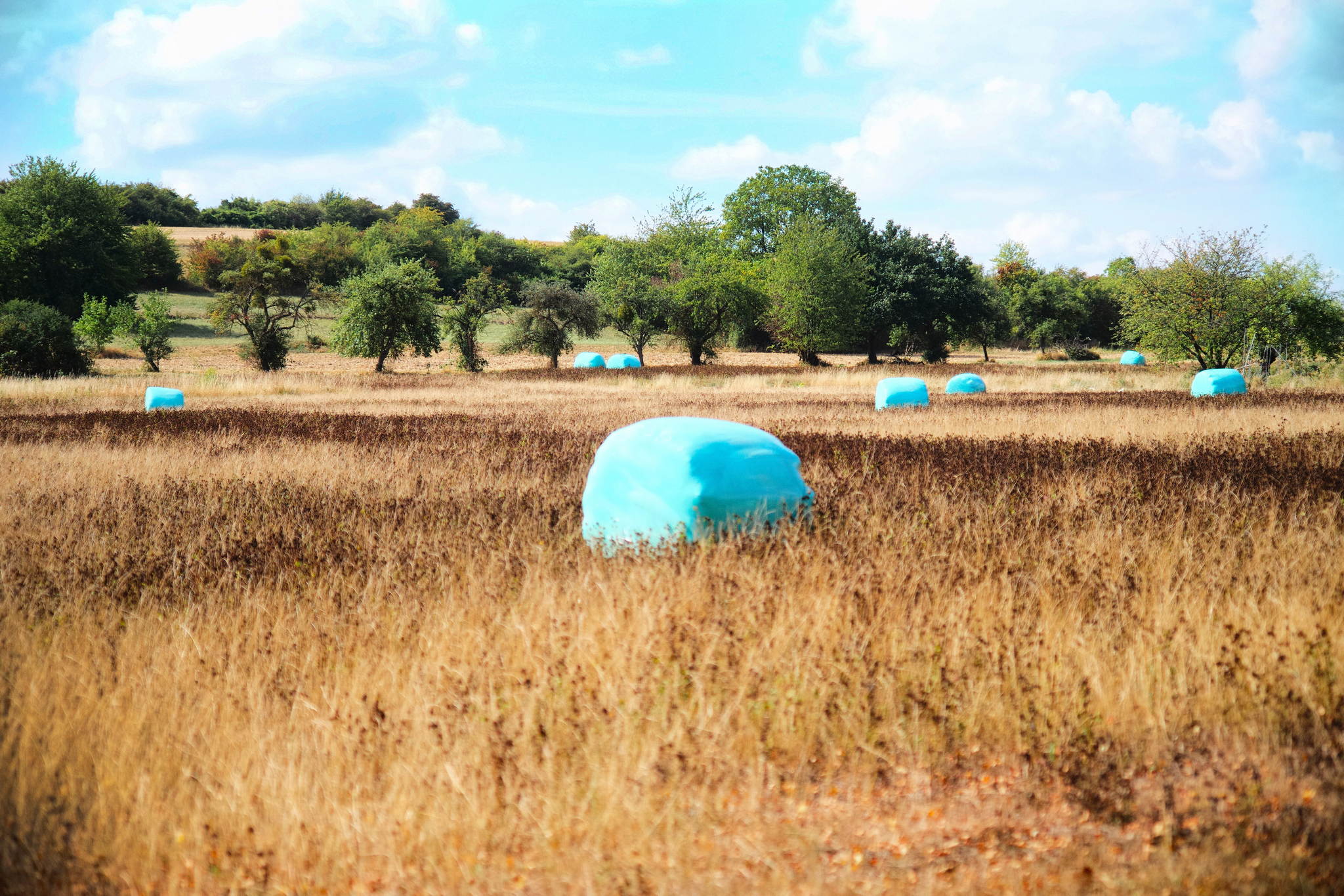 Sommerkitsch 52329614158 o