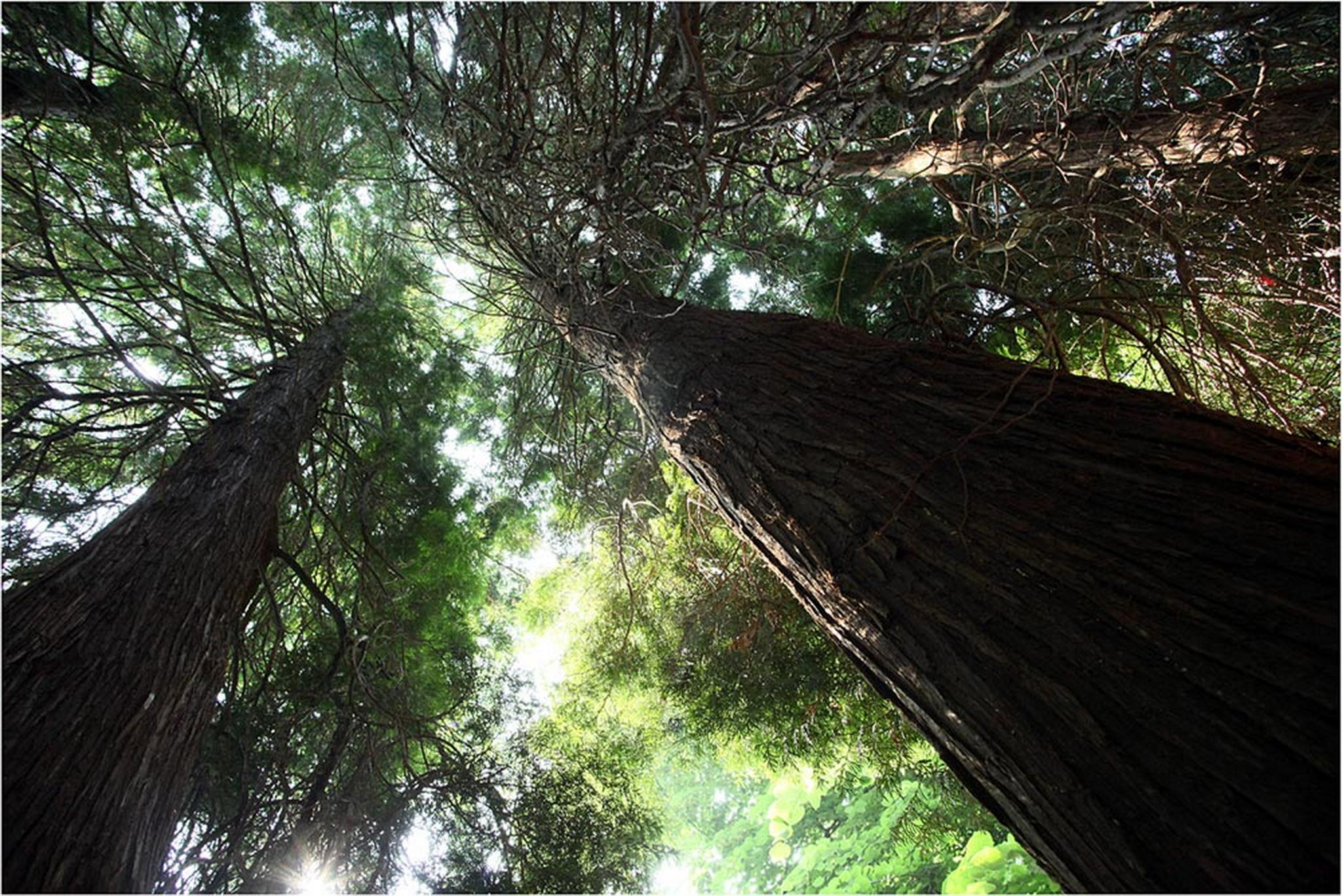 Spaziergang 6022979000 o