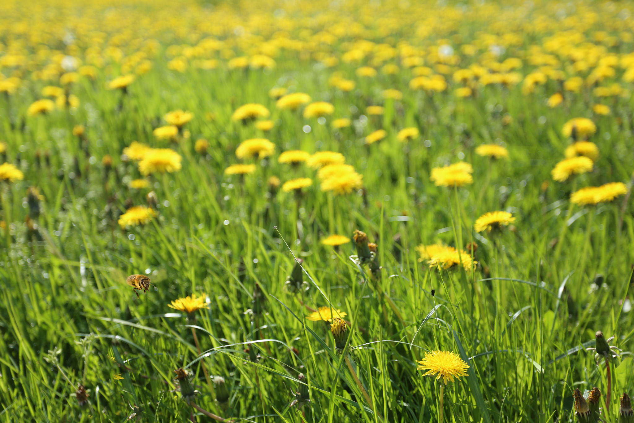 Summsummm 17430488105 o