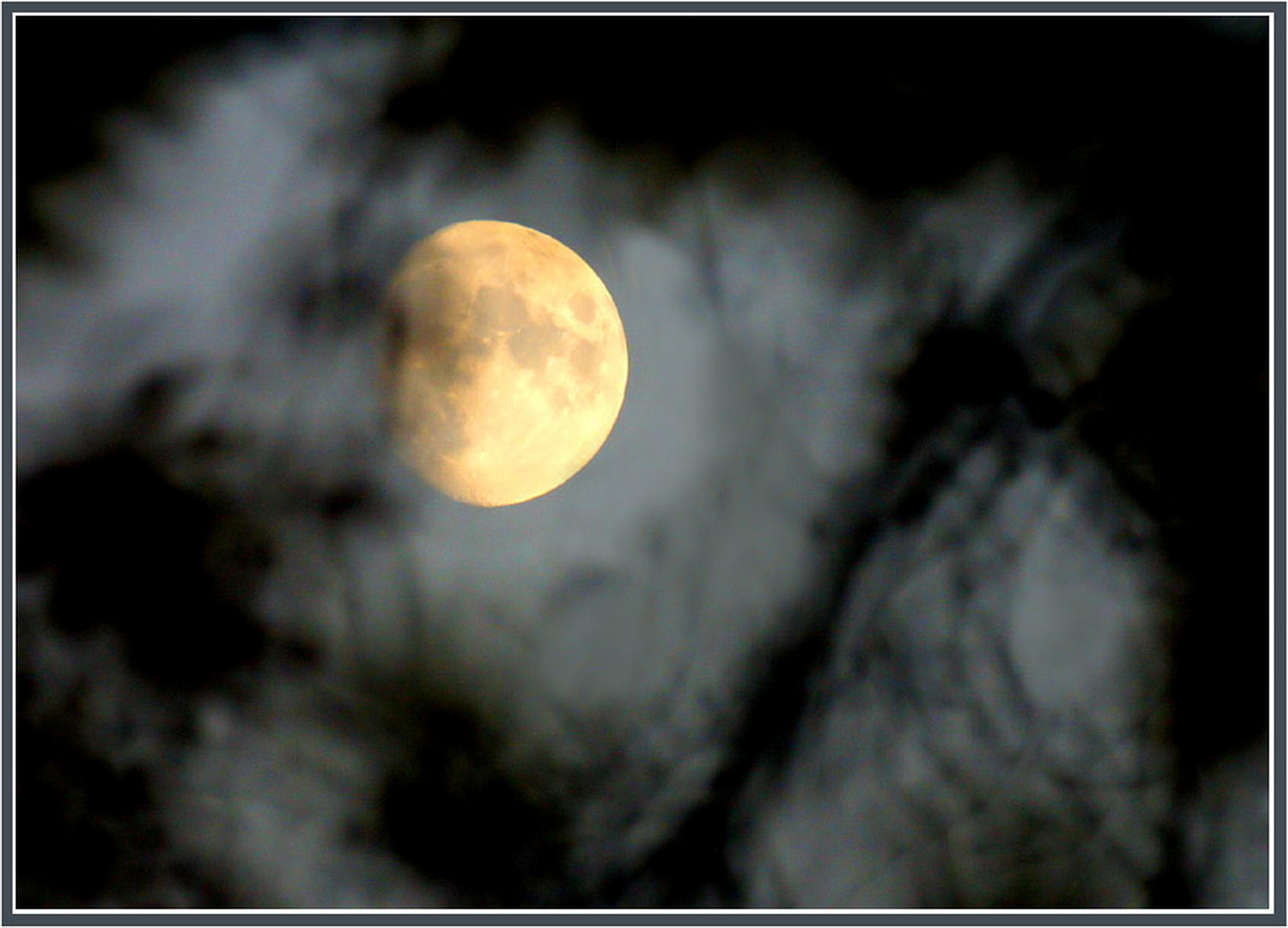 Tagmond 6013688754 o