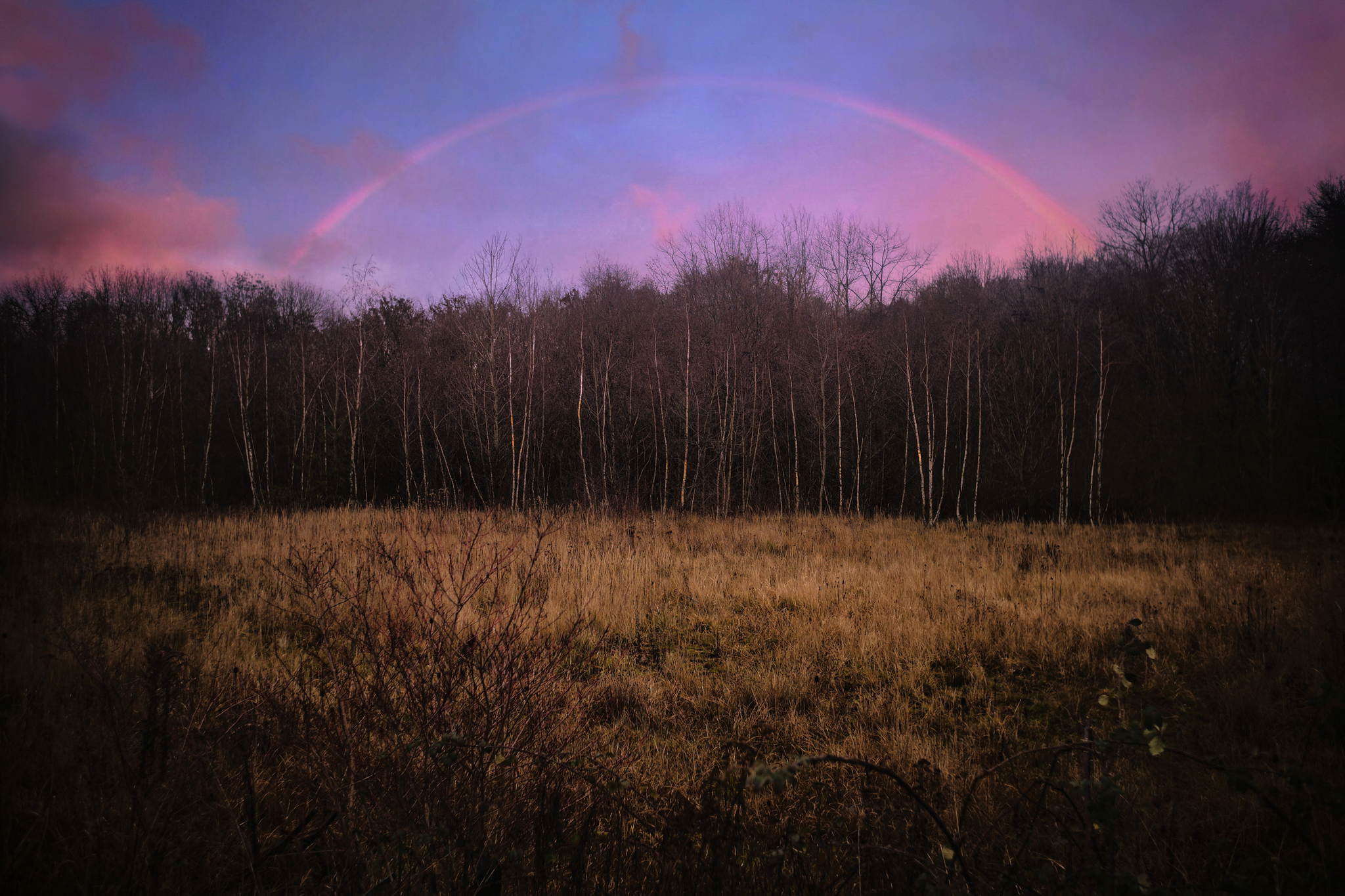 Wechselhaft 50779313588 o