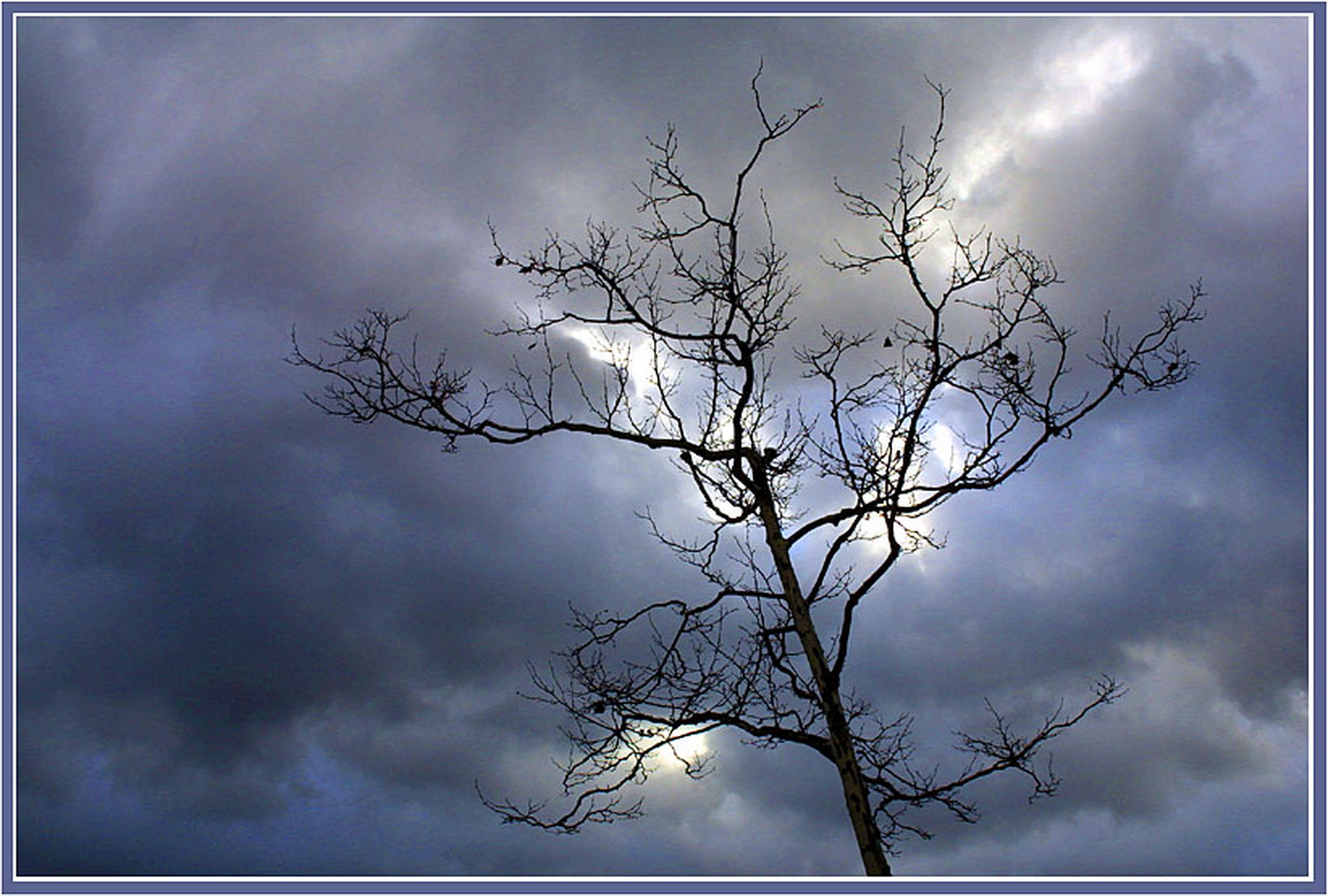 Wechselhaft 6013141189 o