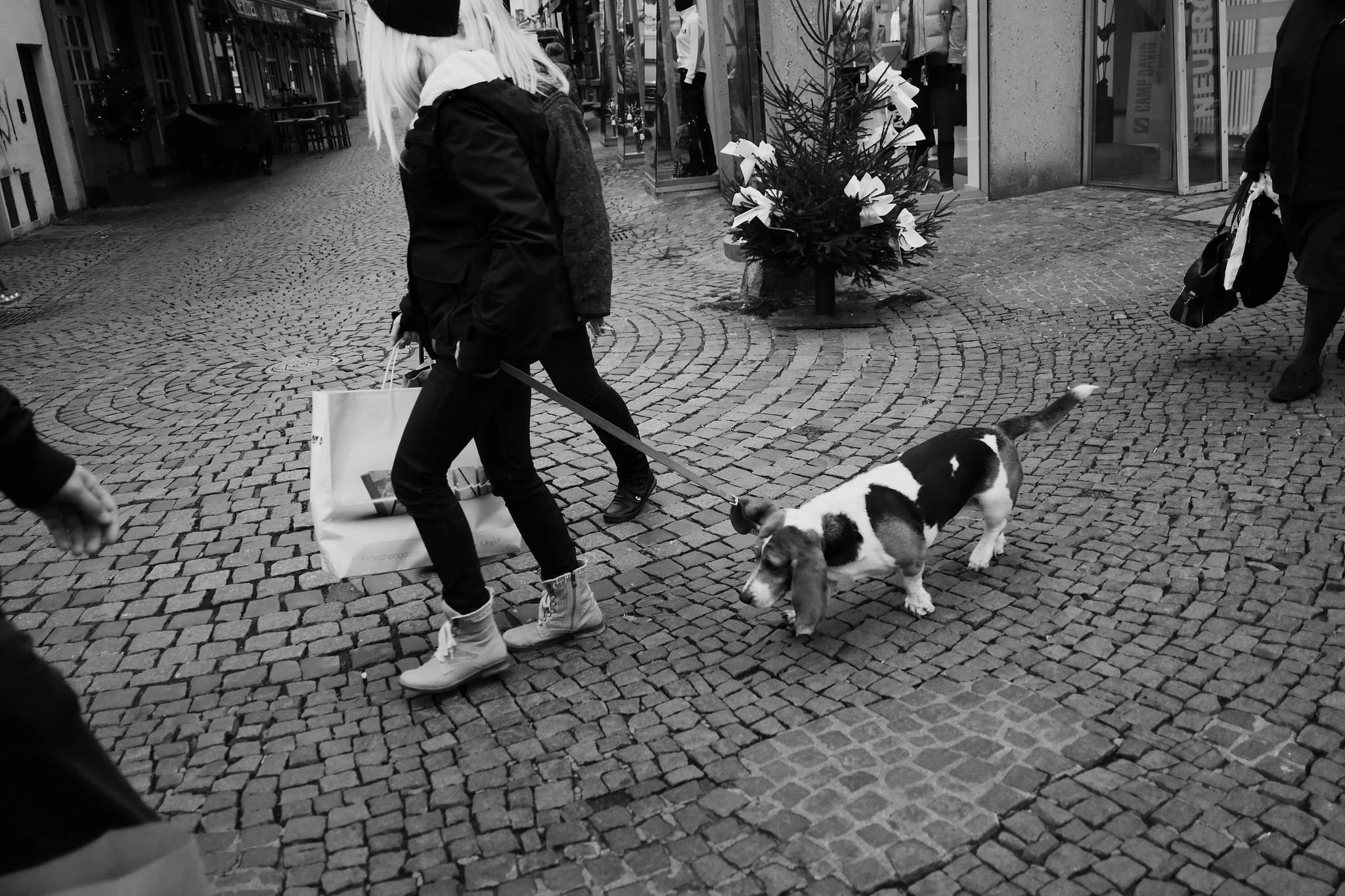 Weihnachtshund 15697814048 o