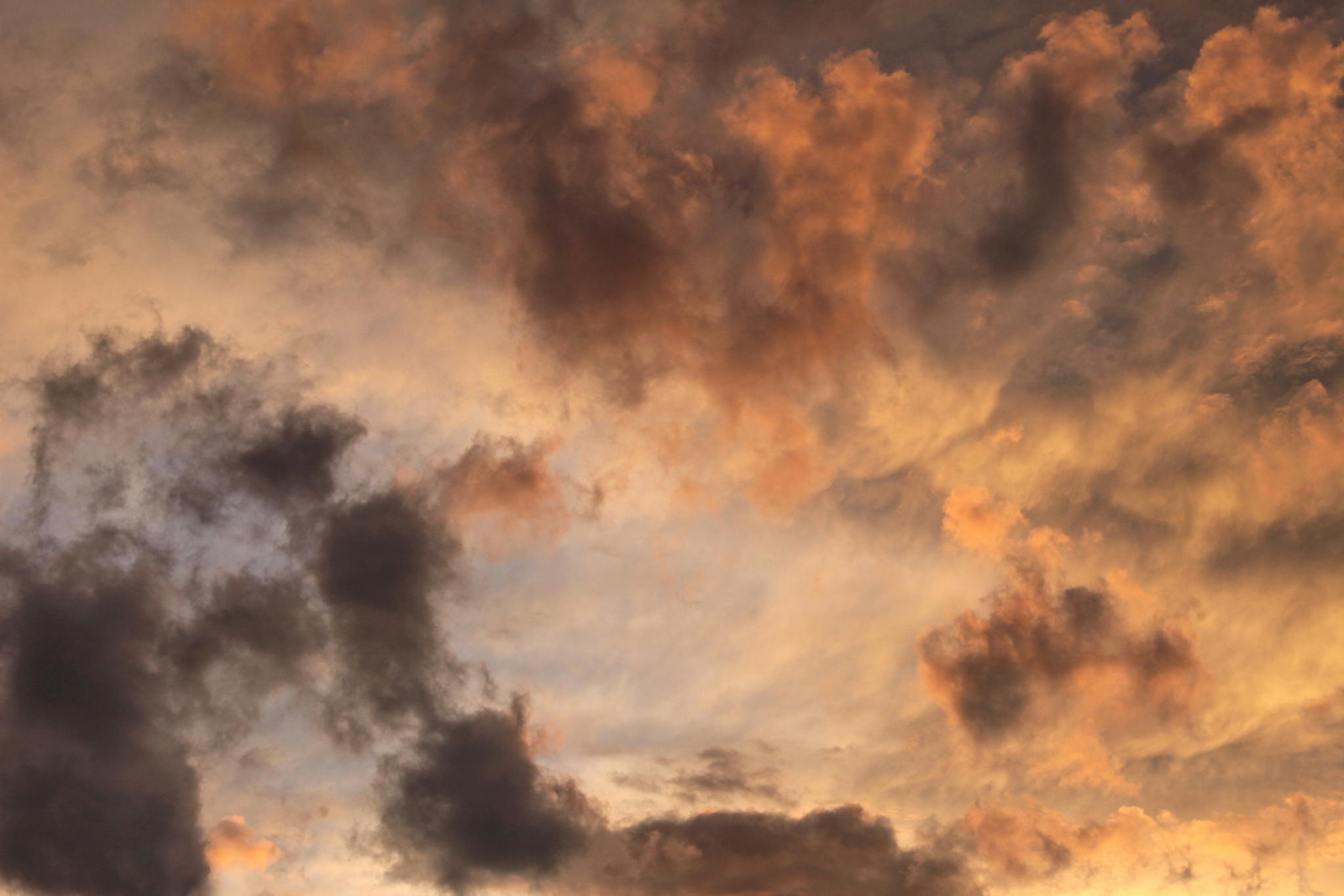 Wolkenhimmel 2 7862300518 o