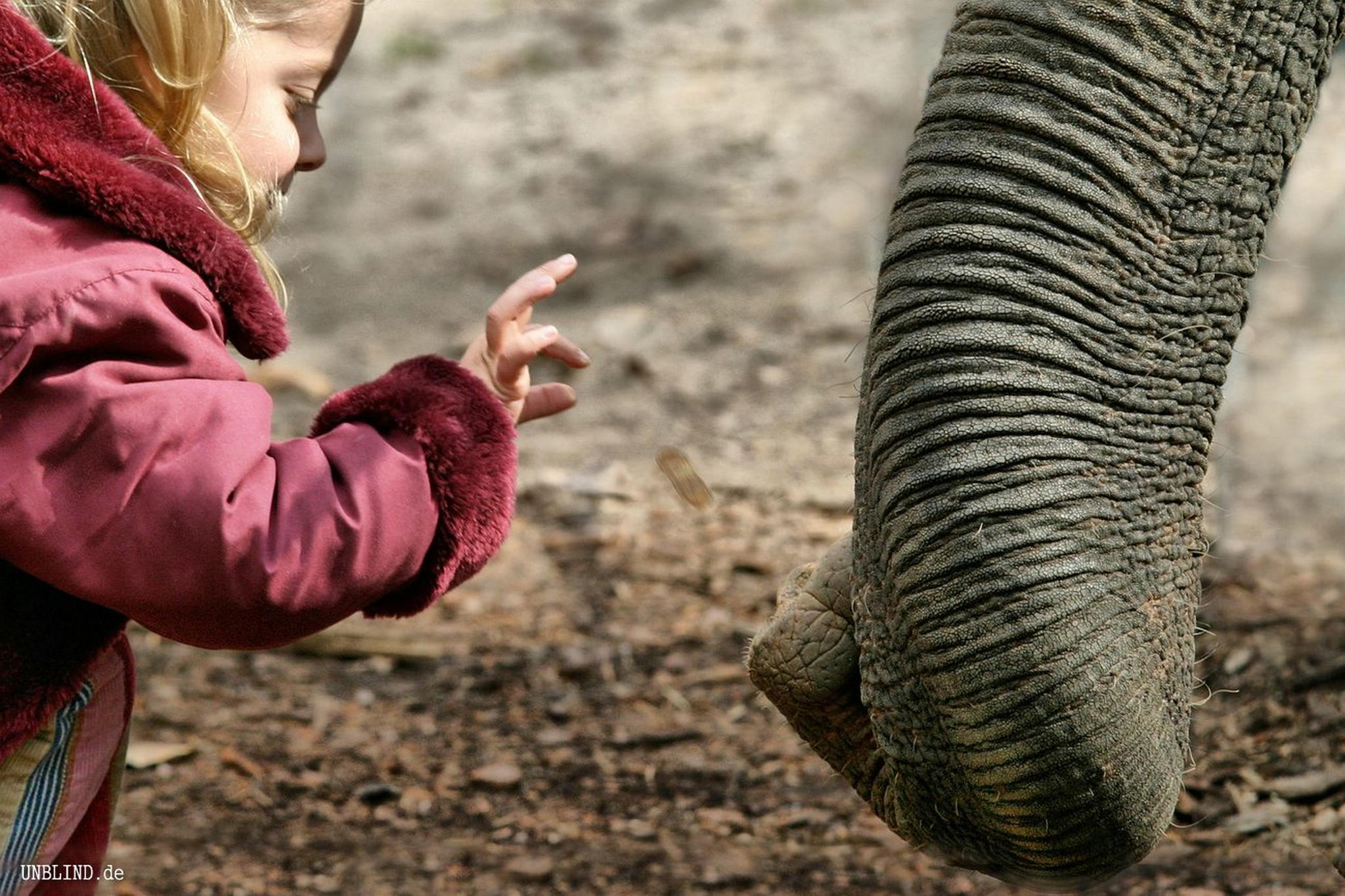 Bitte hier einwerfen 8707143637 o