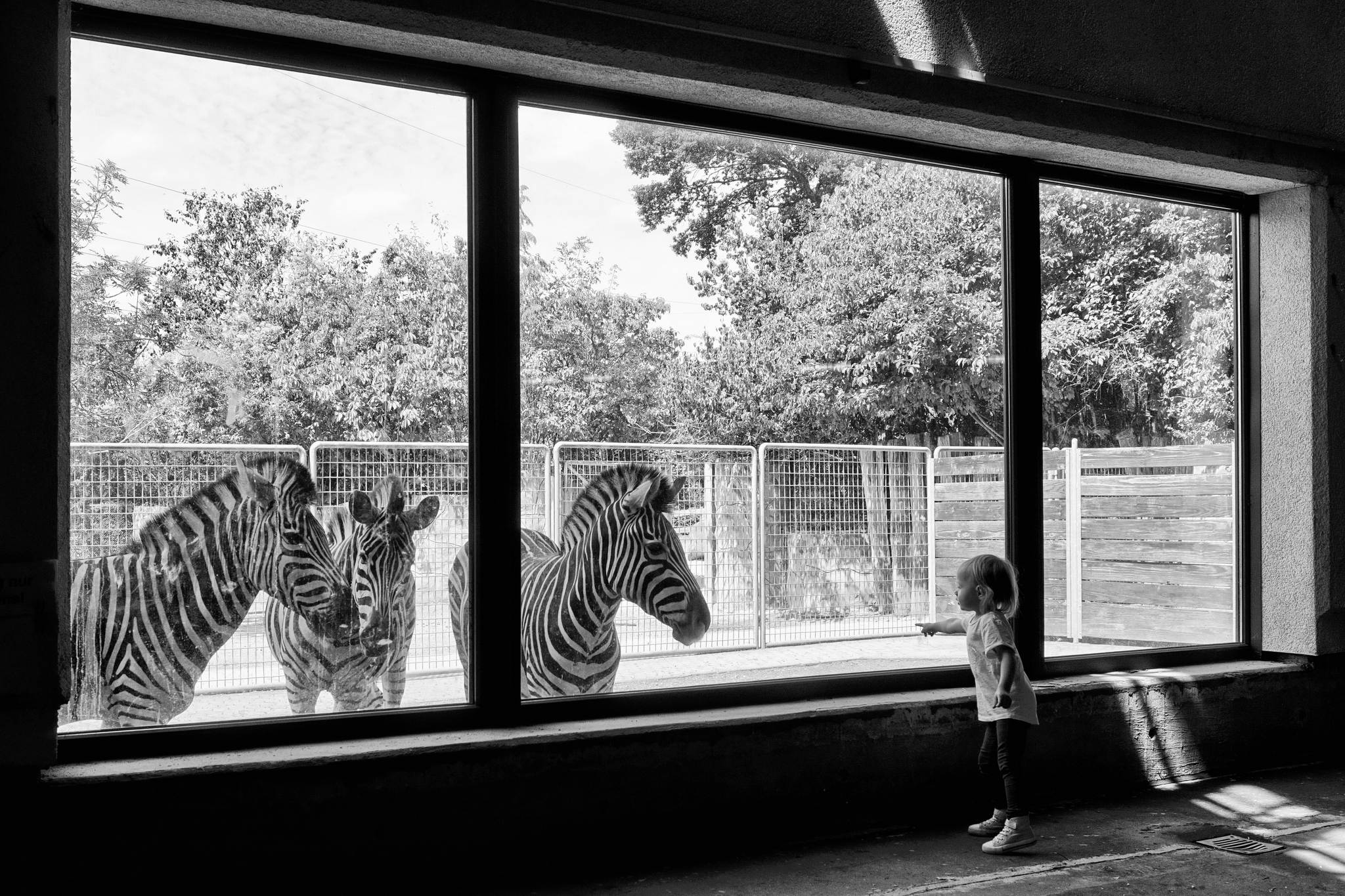 Drinnen und drauen 19407893453 o