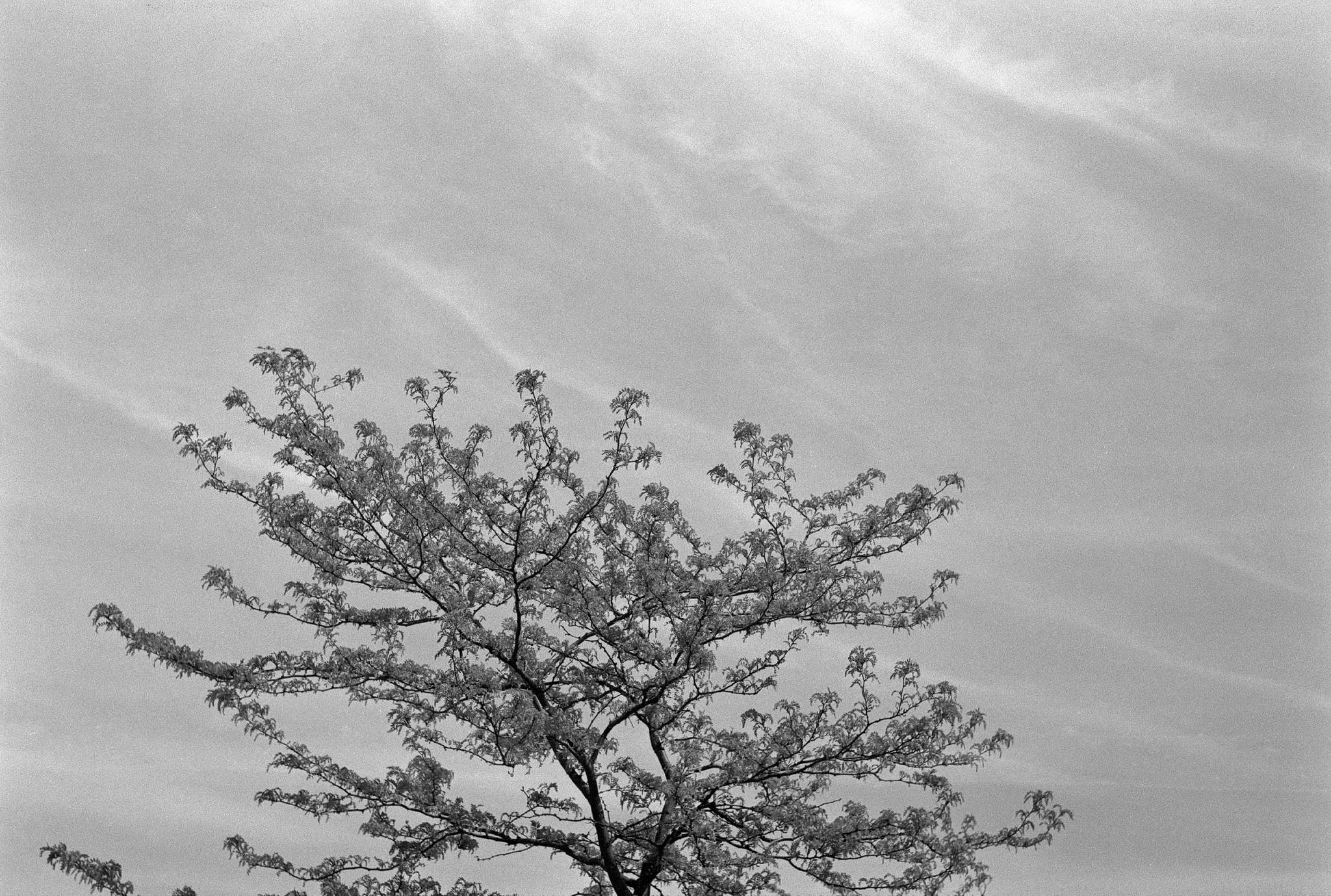 Hexarrf summitar 2704 04 27876402288 o