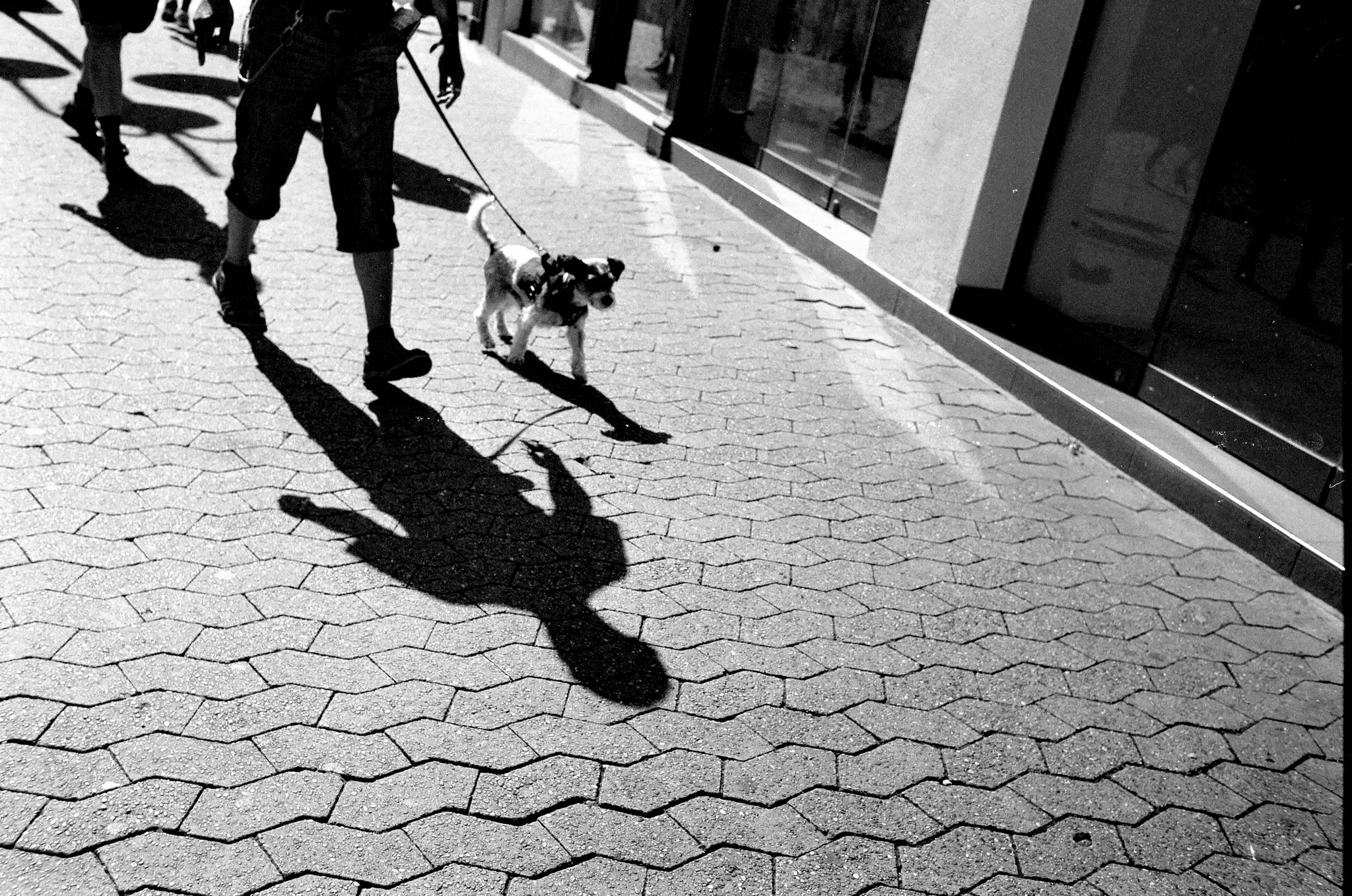 Image012 53943889609 o