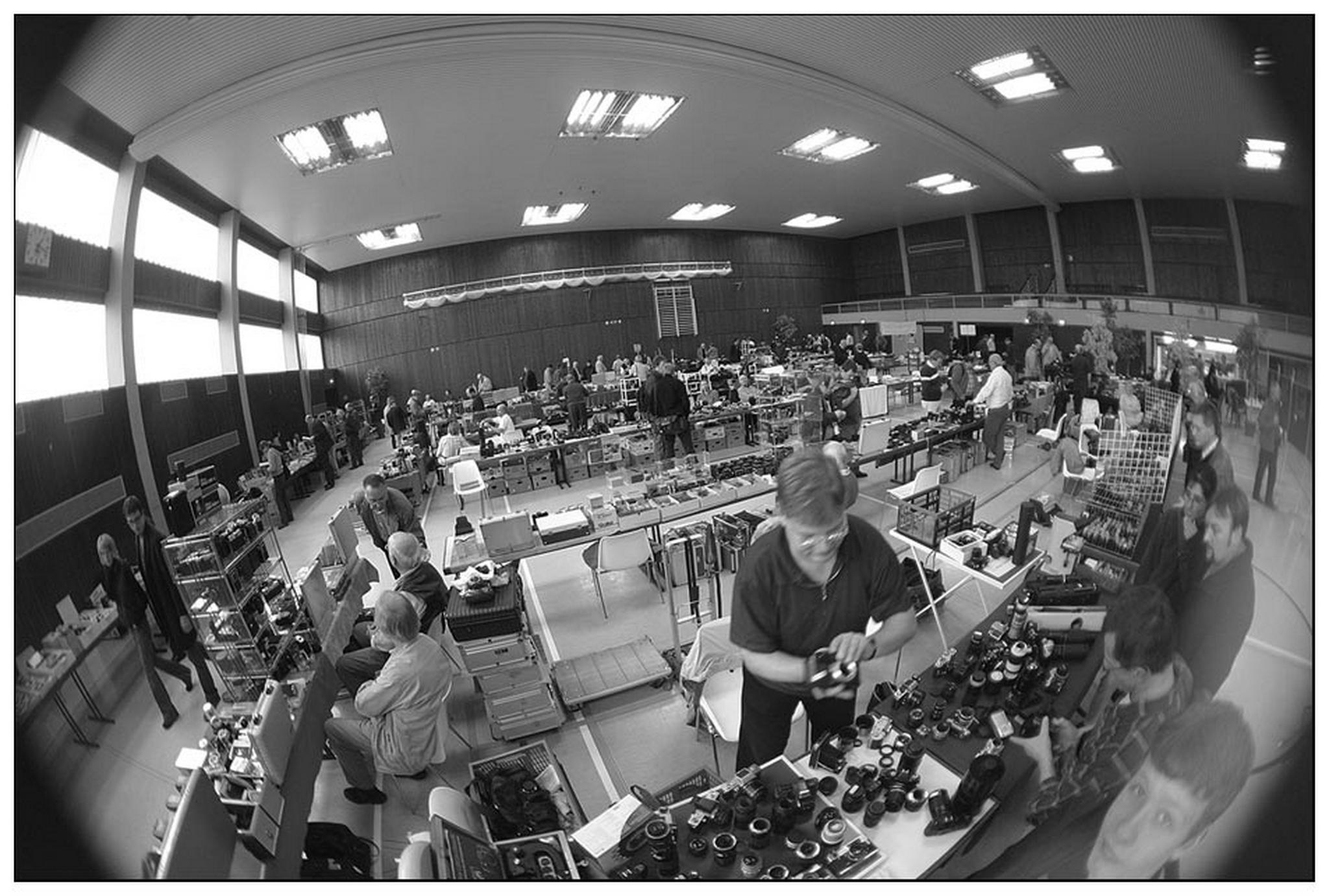 Lauter verrckte 6011128484 o