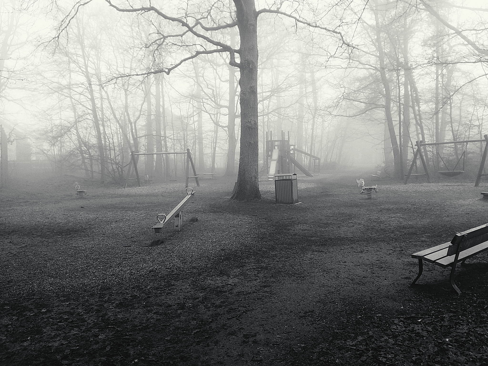 Nebelwald am morgen 07 54397420208 o