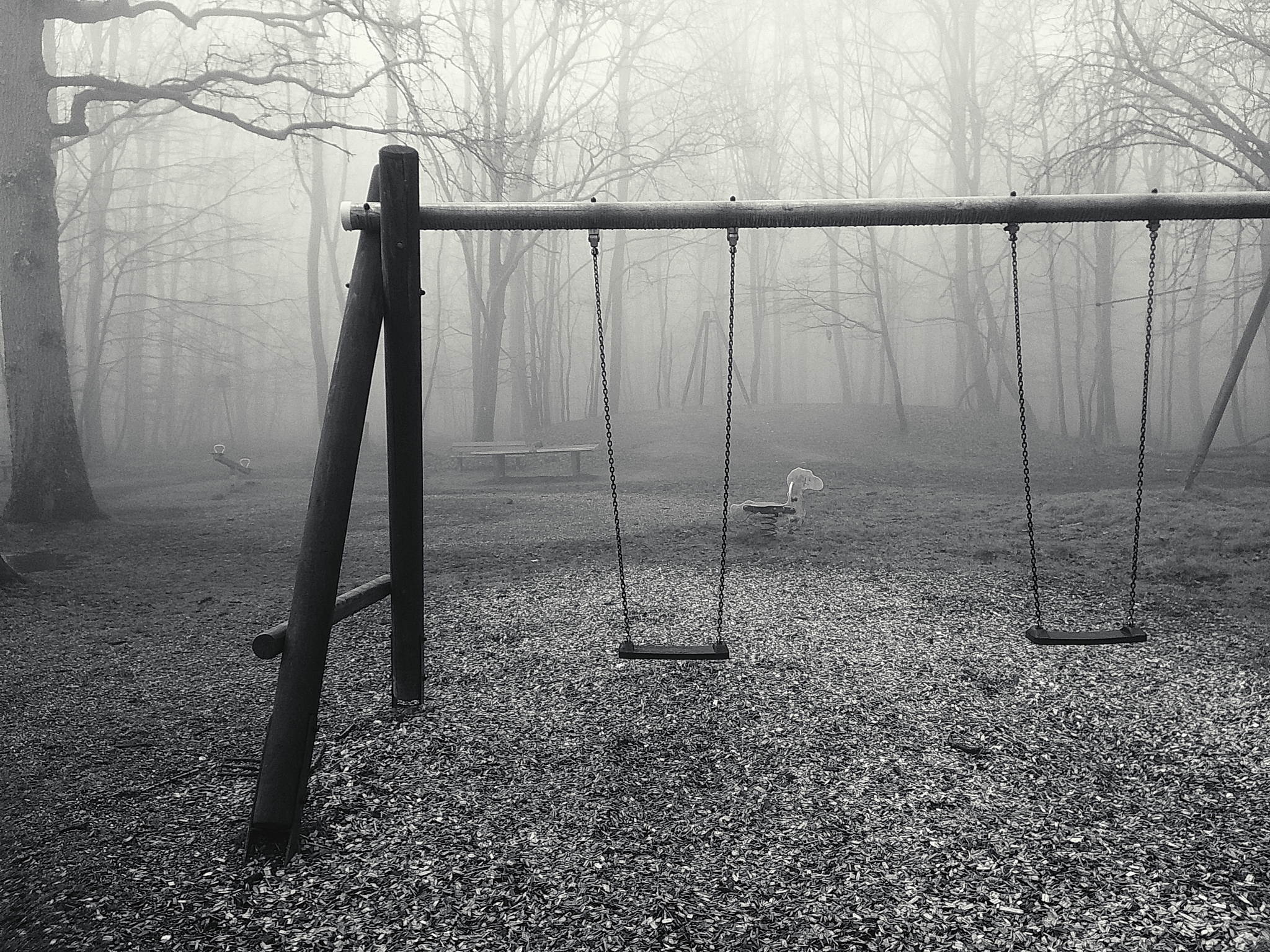 Nebelwald am morgen 08 54397552055 o