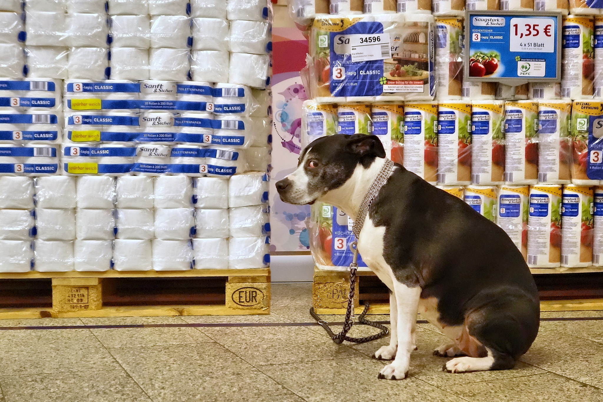 Sanft saugstark und sicher 12084401395 o