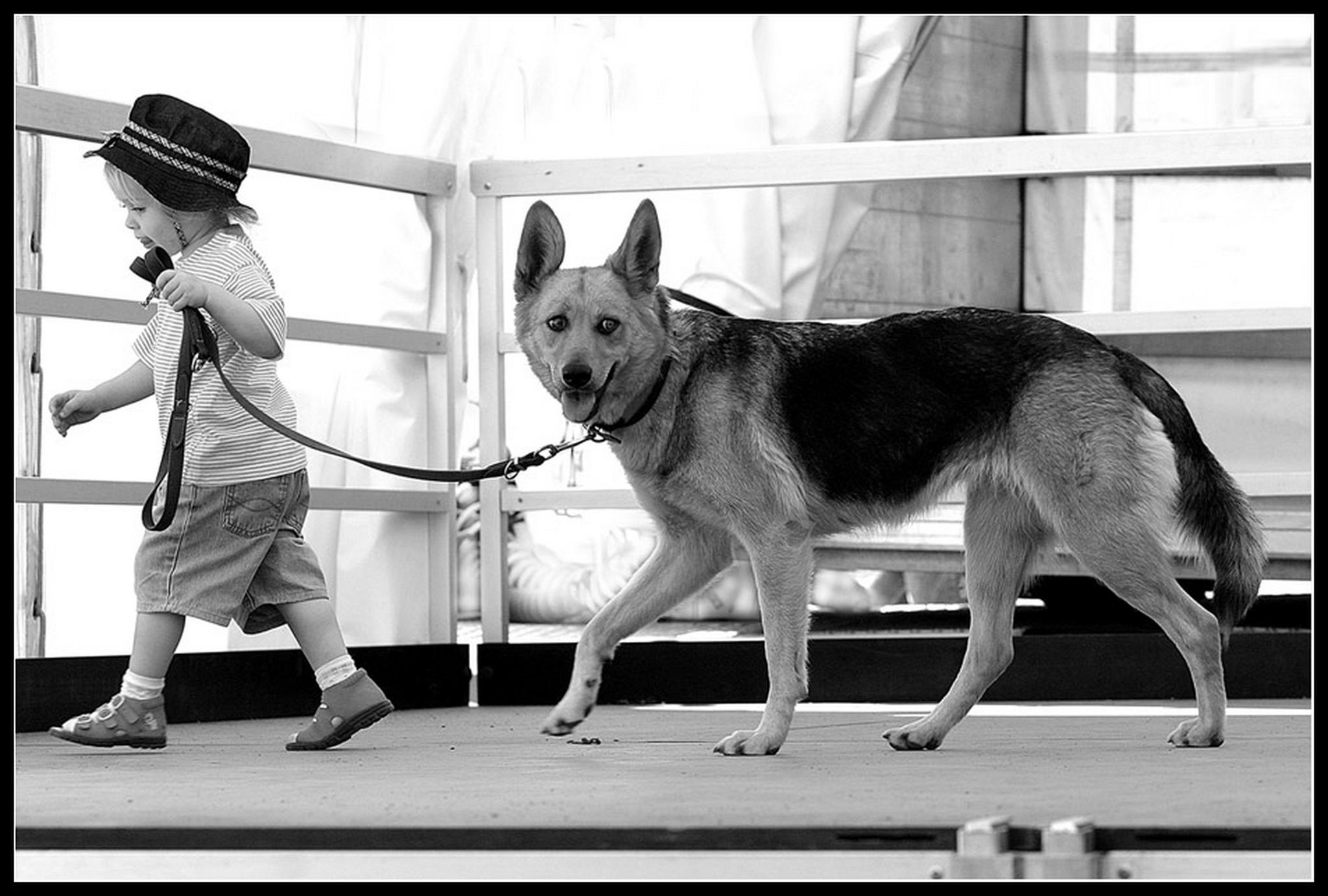 Schanppschu 6011138094 o