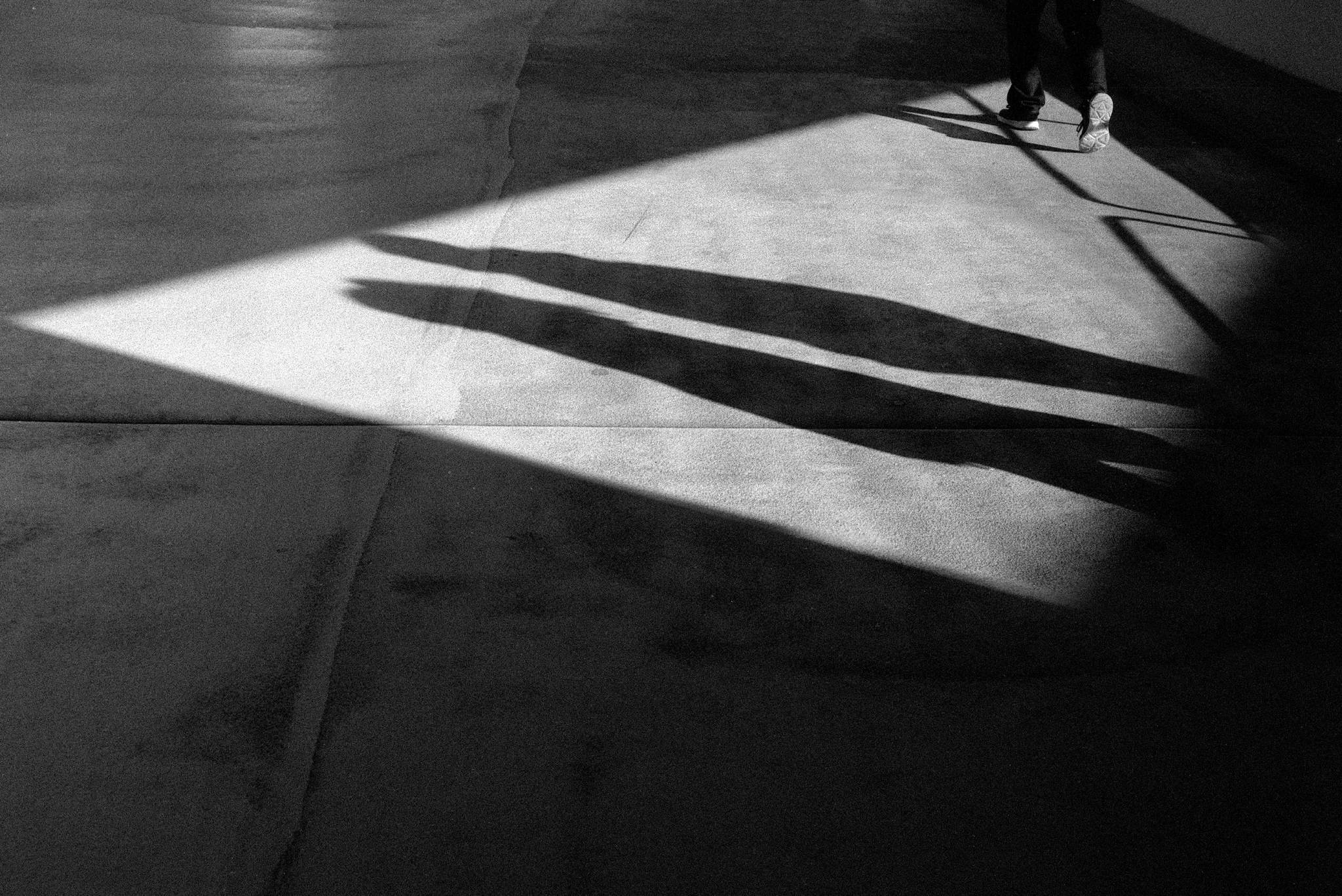 Schatten 48845713527 o