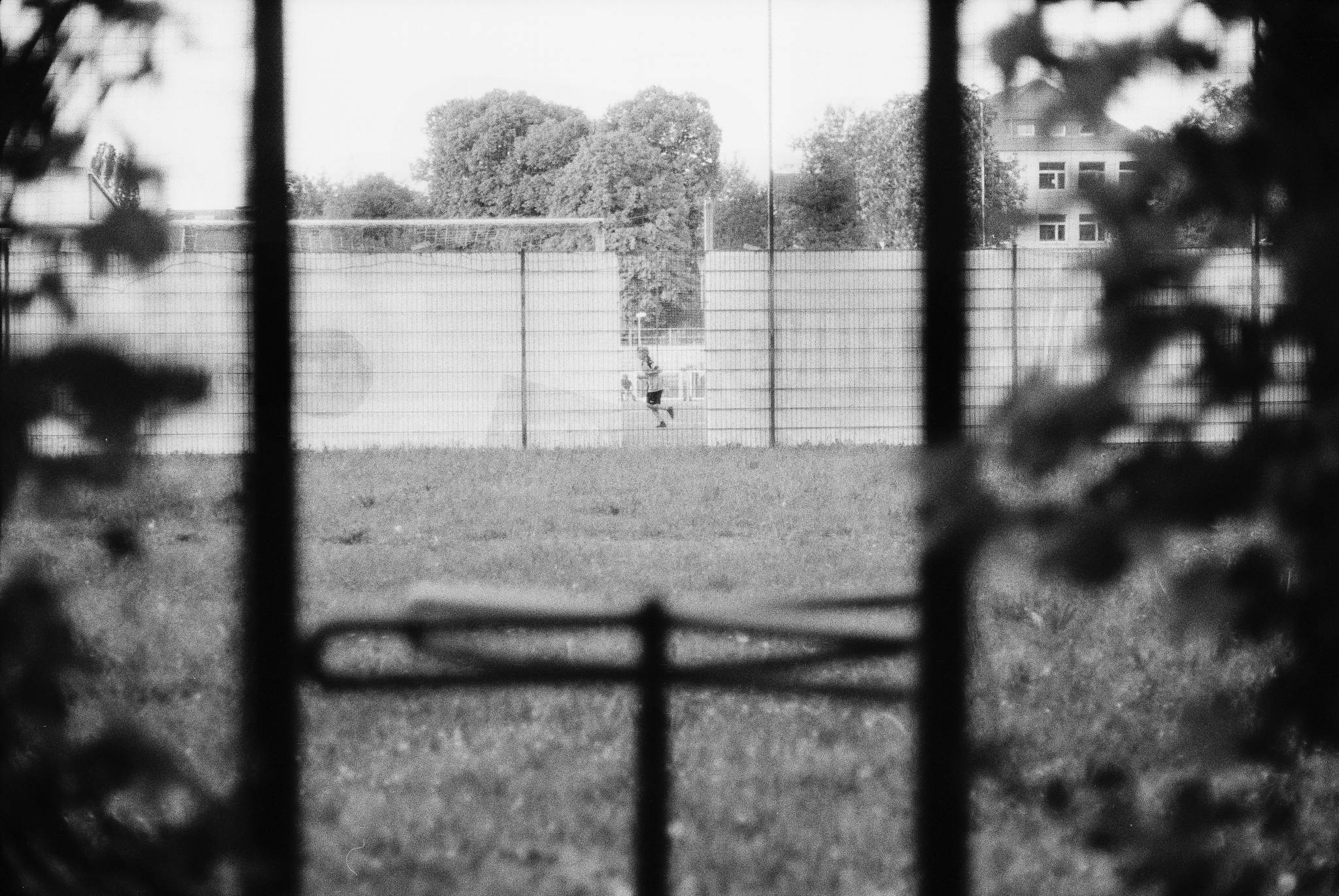 Toooor 47929053237 o